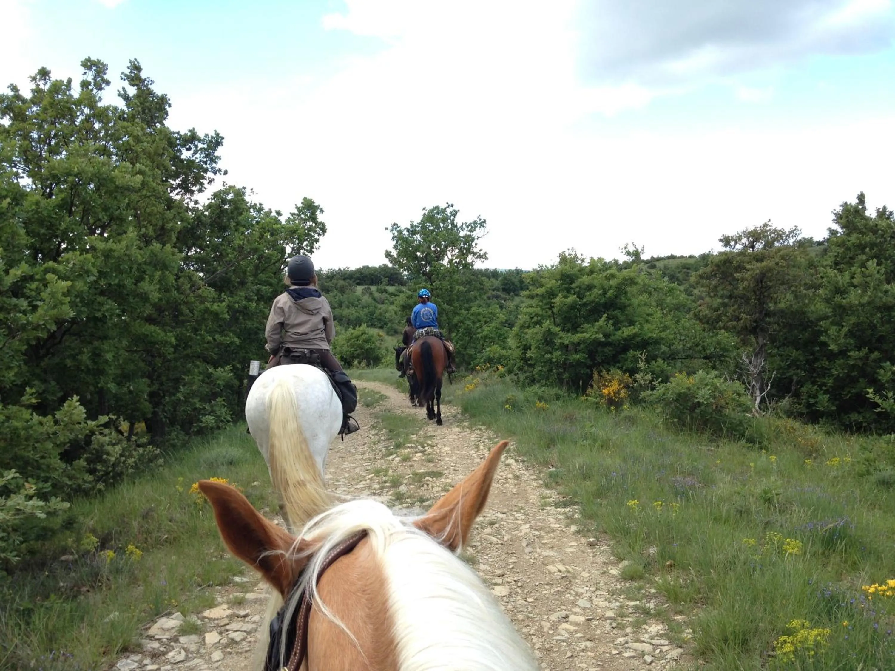 Natural landscape in Le Relais de Vazeille
