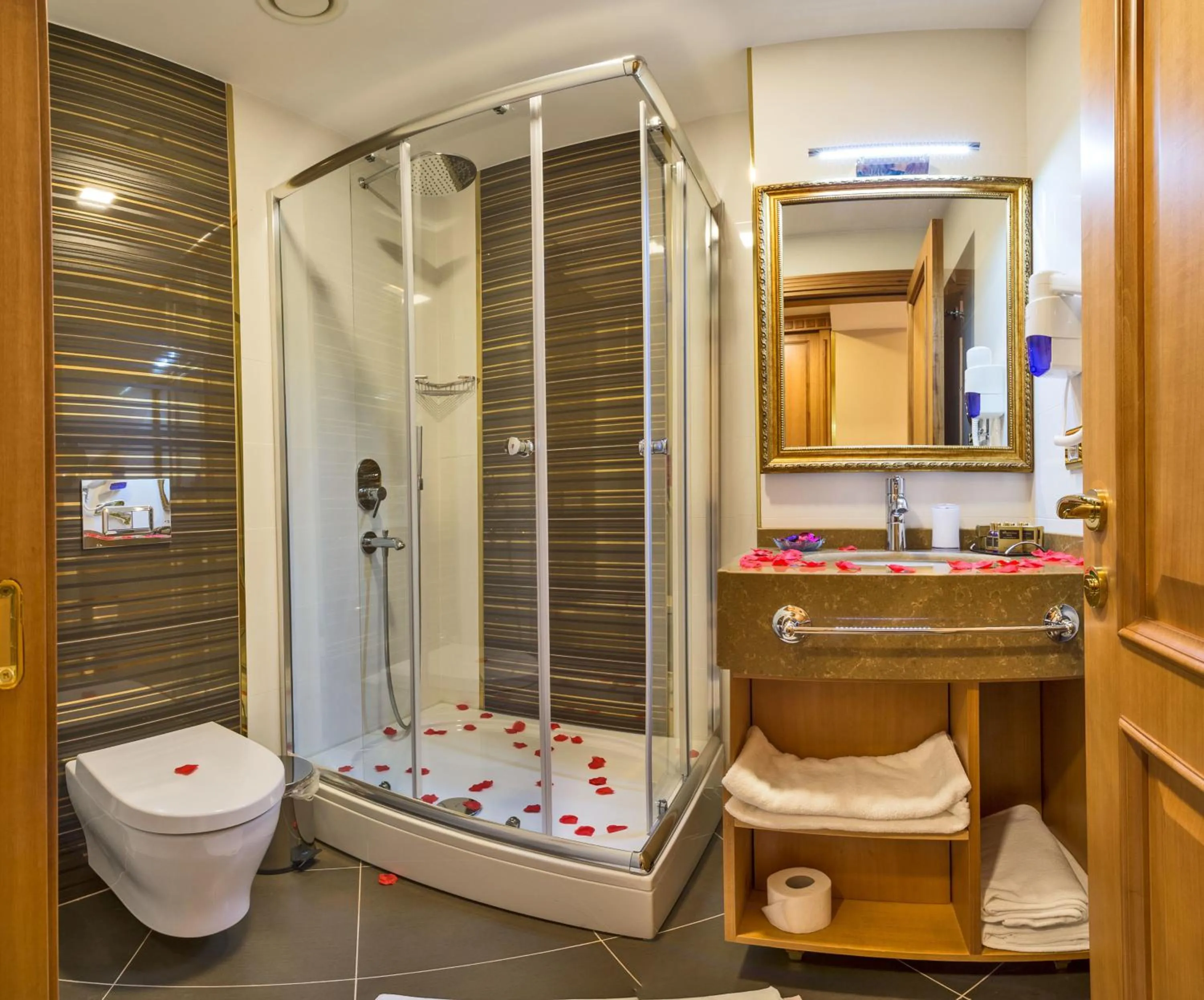 Other in Aprilis Gold Hotel - Special Category