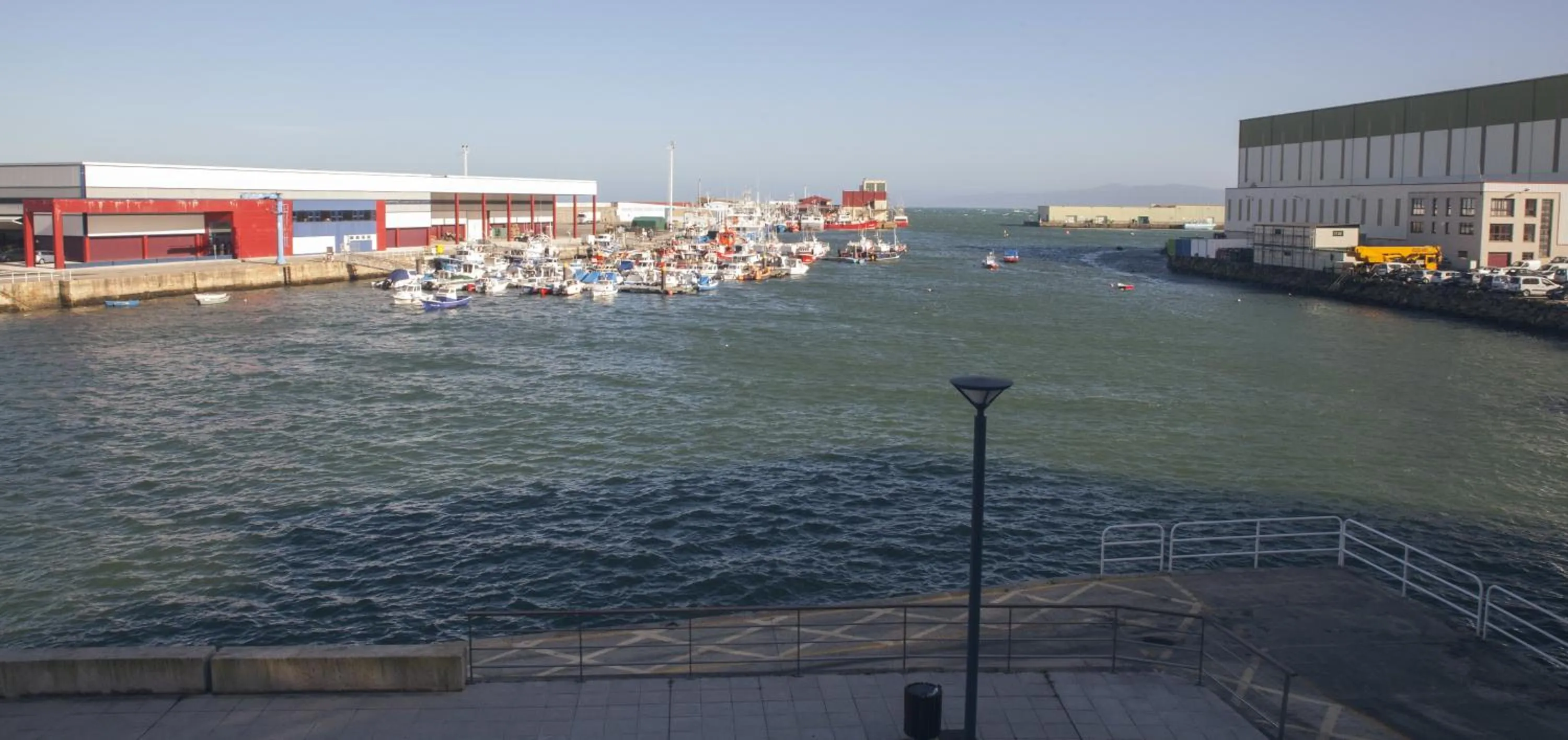 Spring in A Casa do Porto