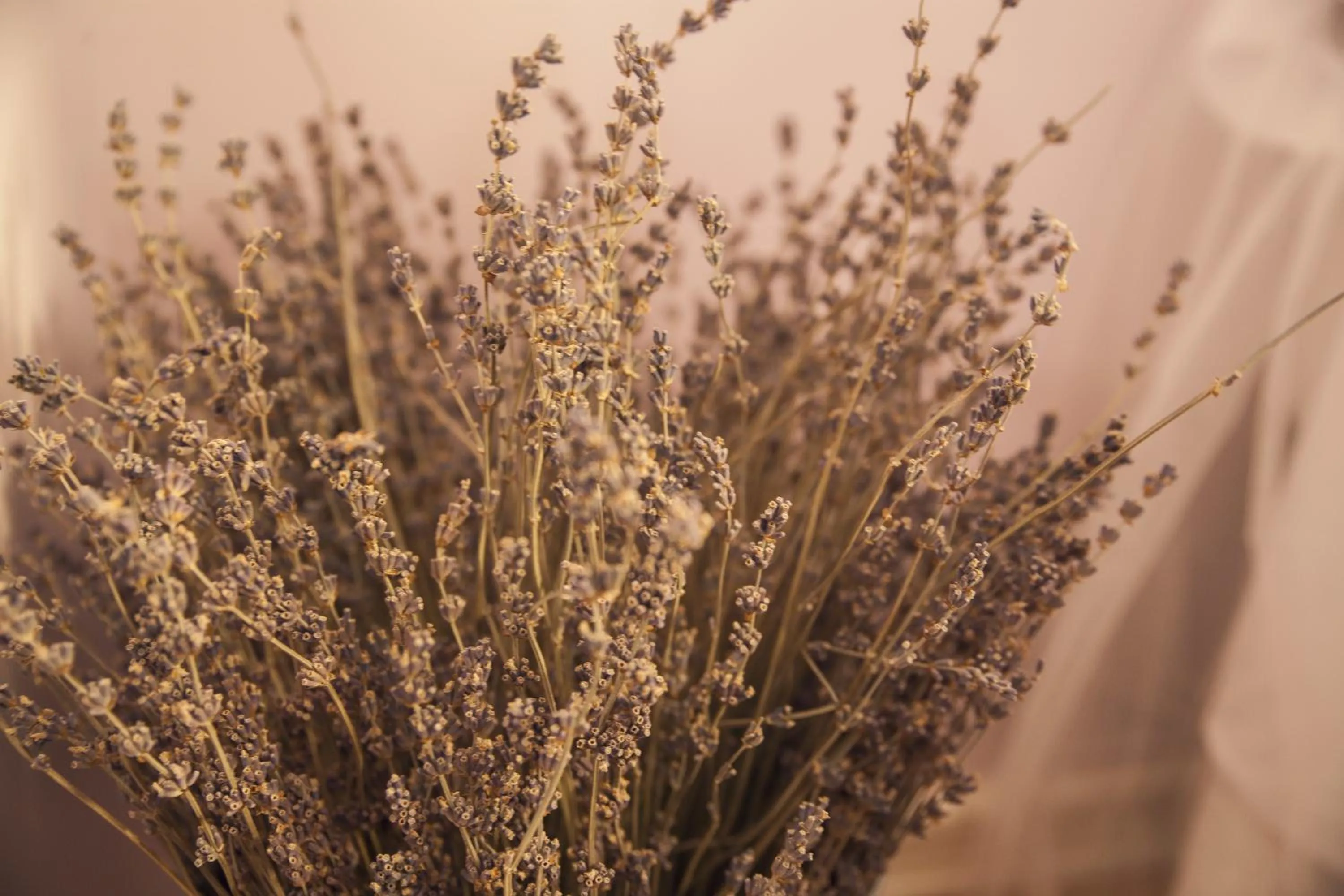 Decorative detail in A Casa do Porto