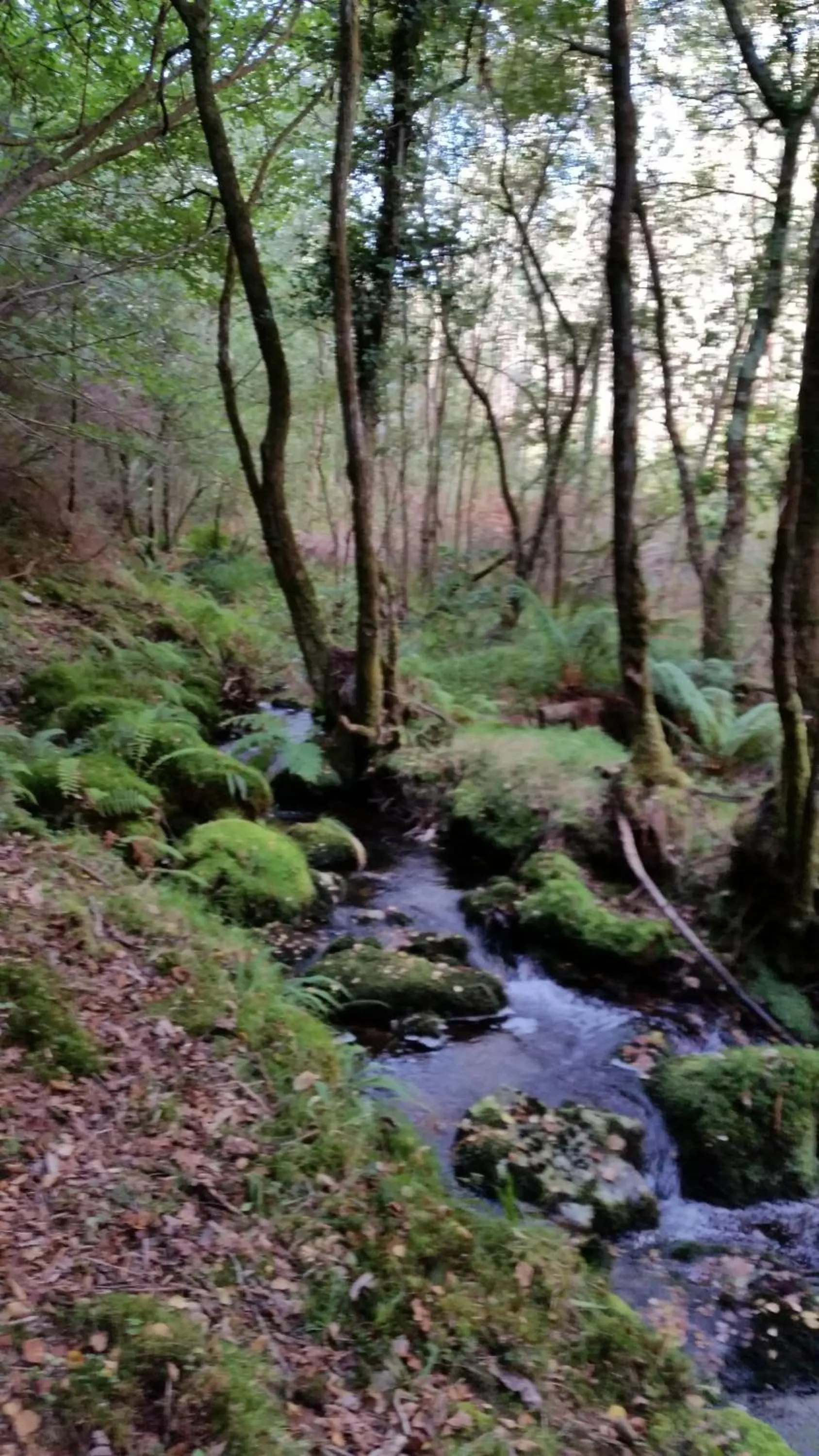 Off site in A Casa do Porto