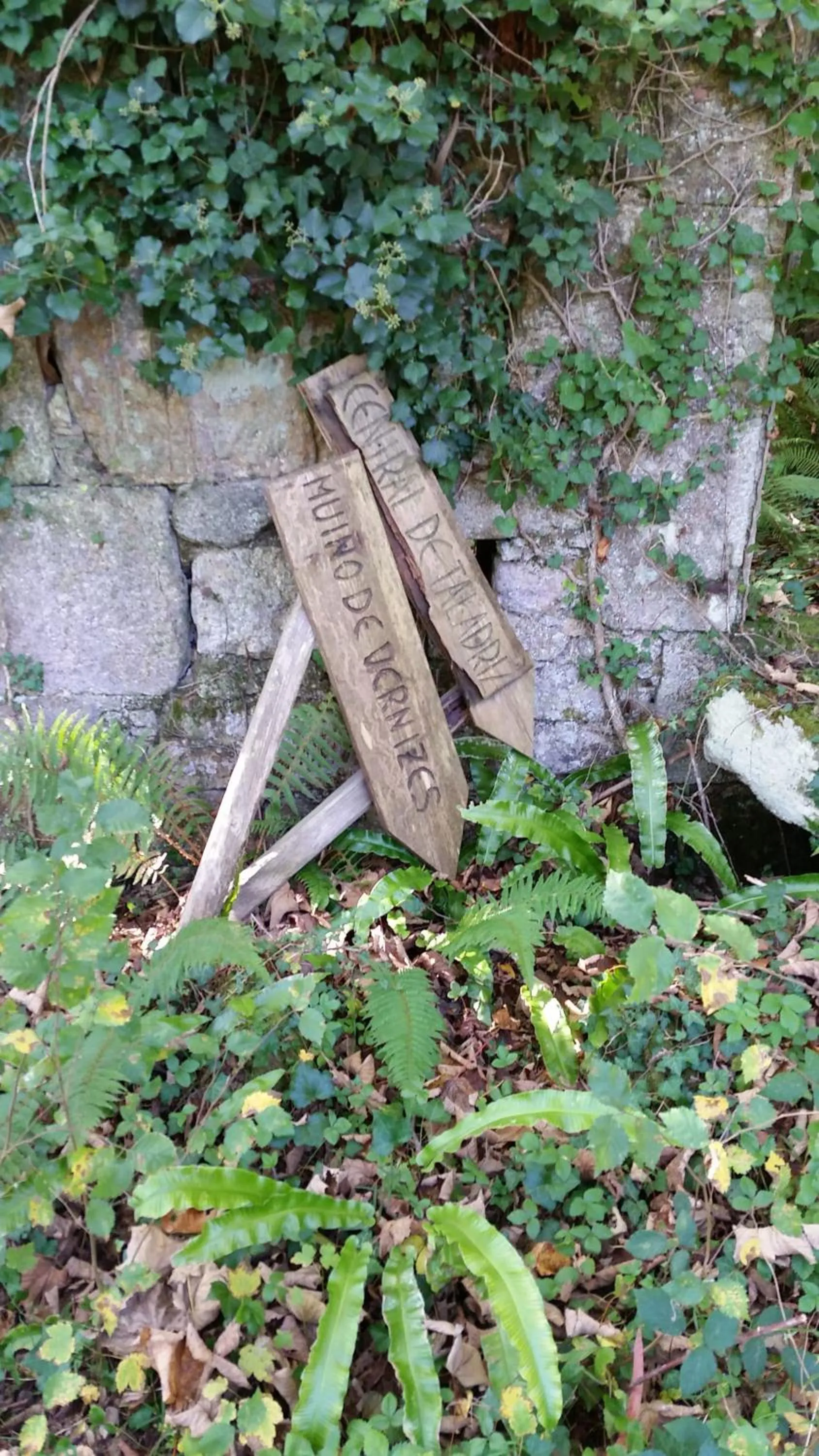 Off site in A Casa do Porto