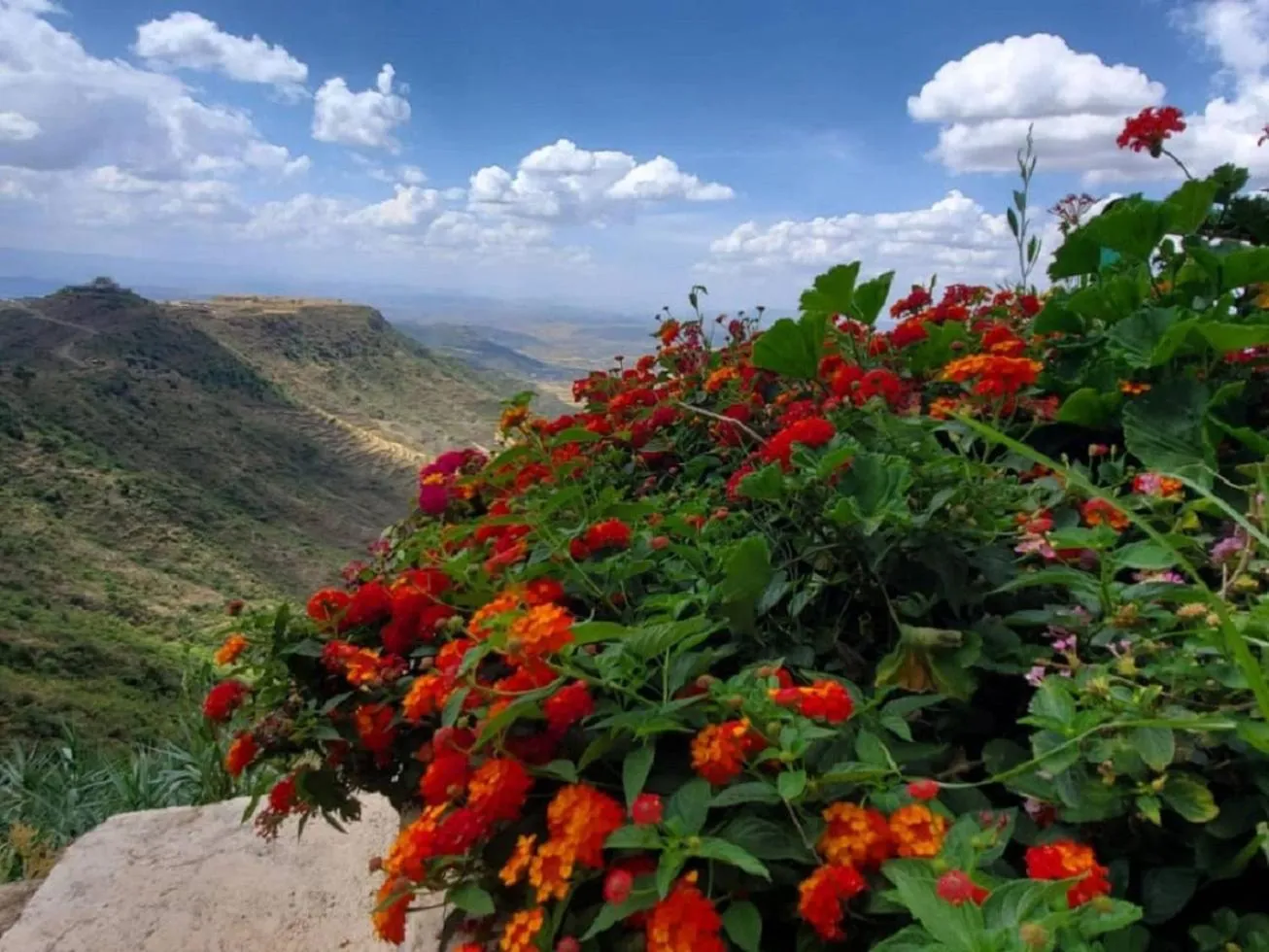 Garden in Maribela Hotel