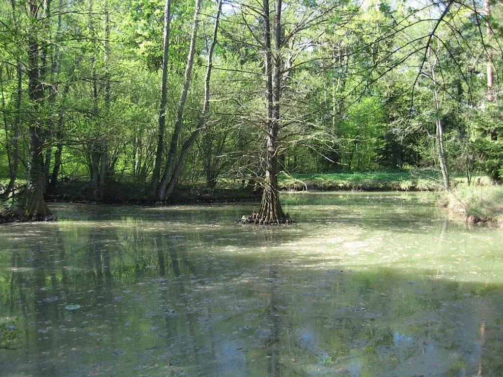 Natural landscape in Le Fauverney Lodge
