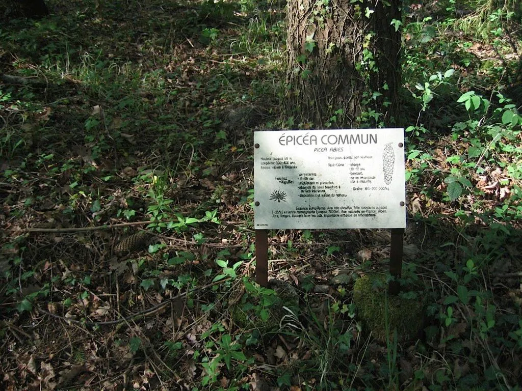 Other in Le Fauverney Lodge