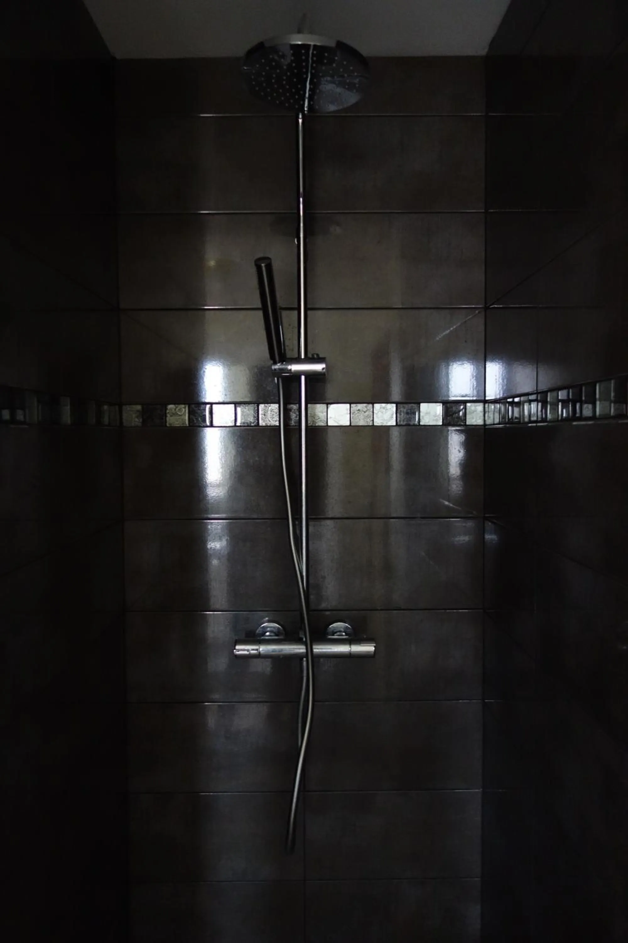 Shower in Le Fauverney Lodge