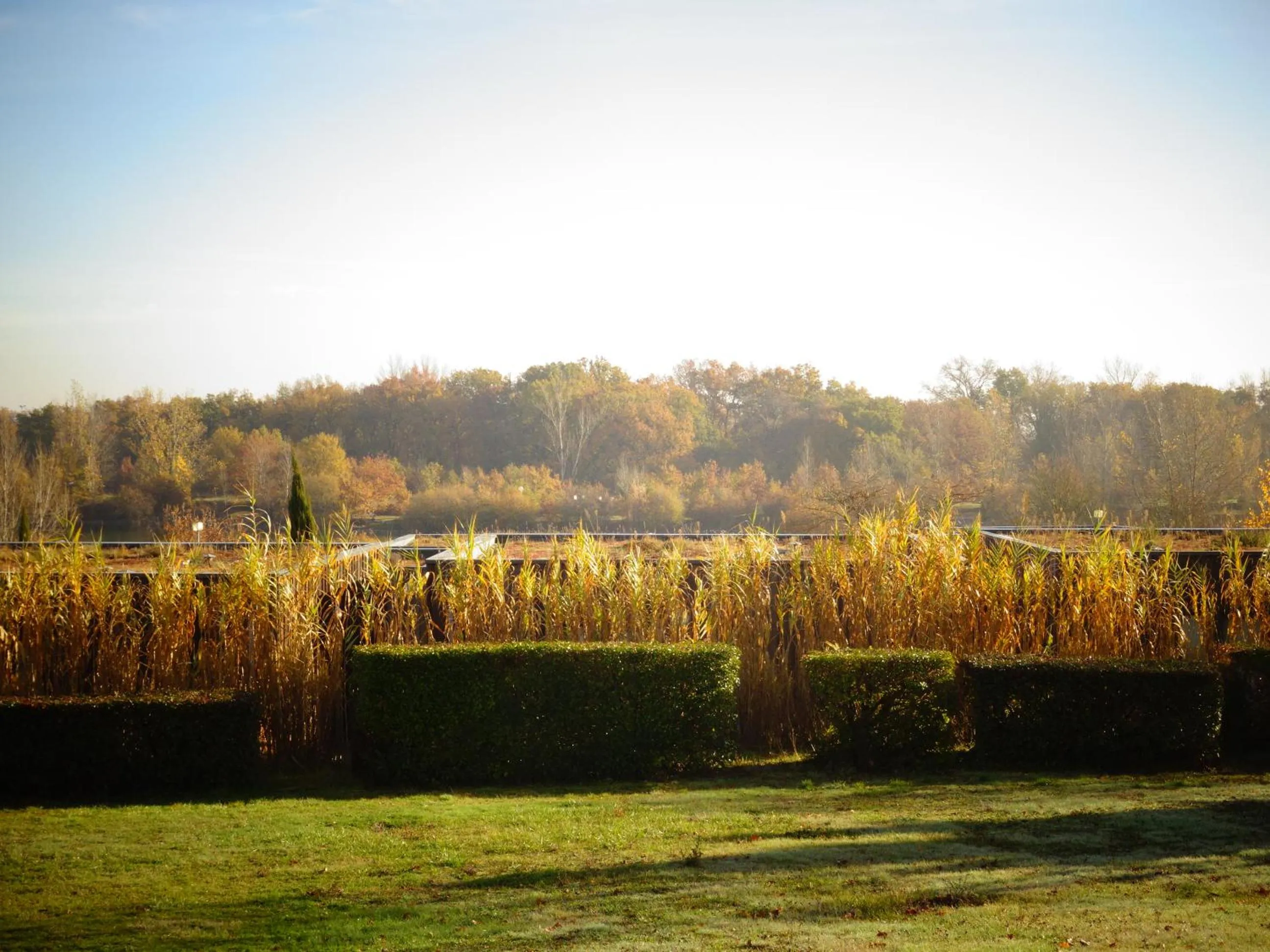 Garden view in Domaine d'Ariane