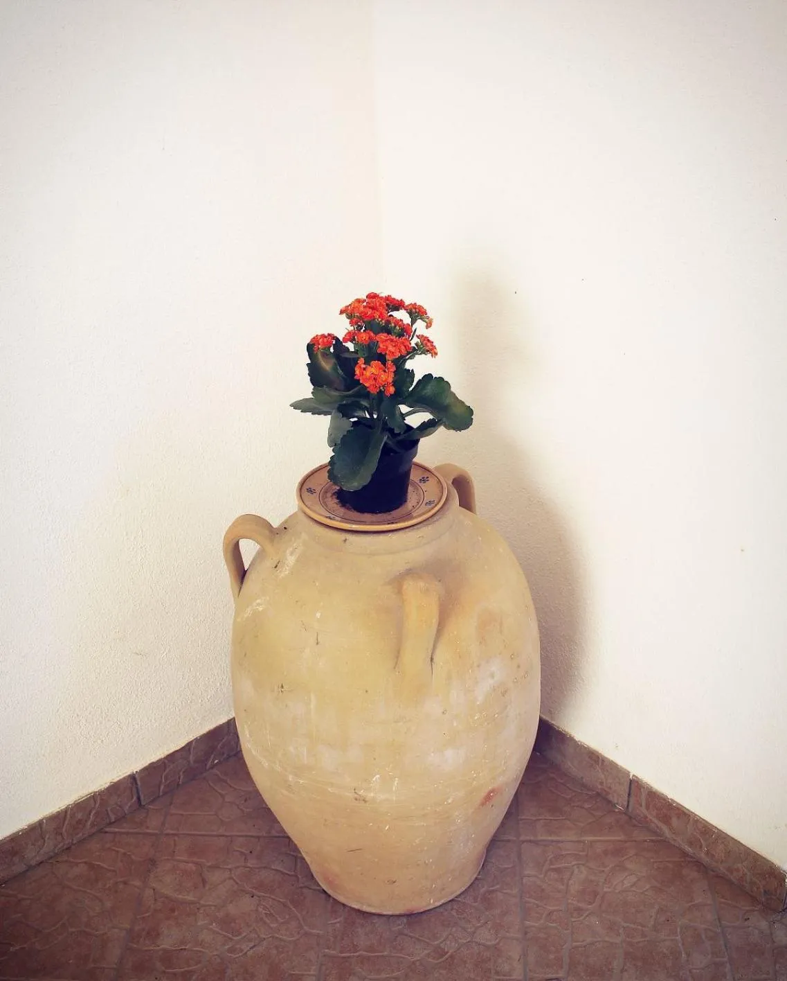 Decorative detail in B&B Masseria Donna Carlotta