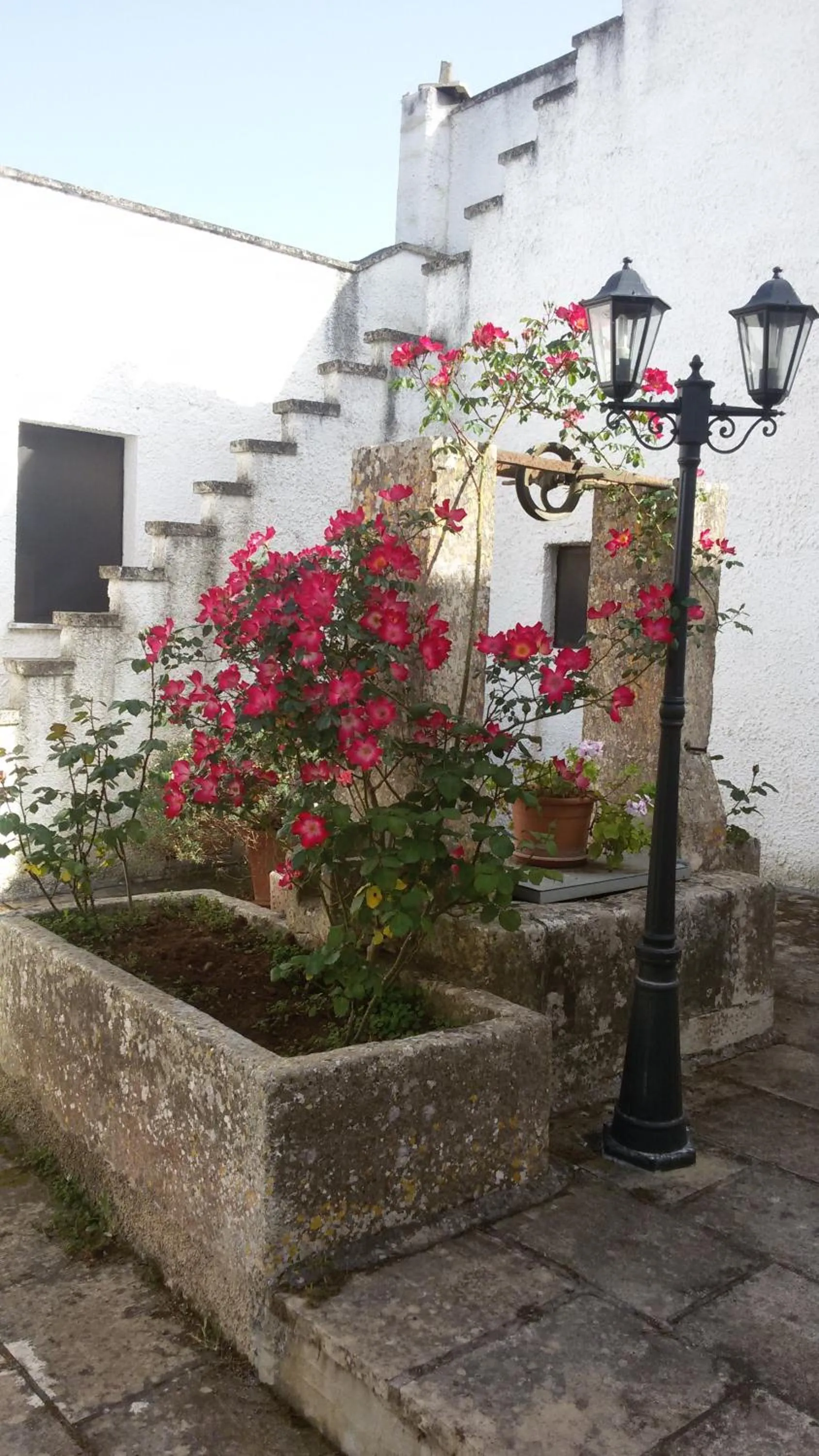 Garden in B&B Masseria Donna Carlotta