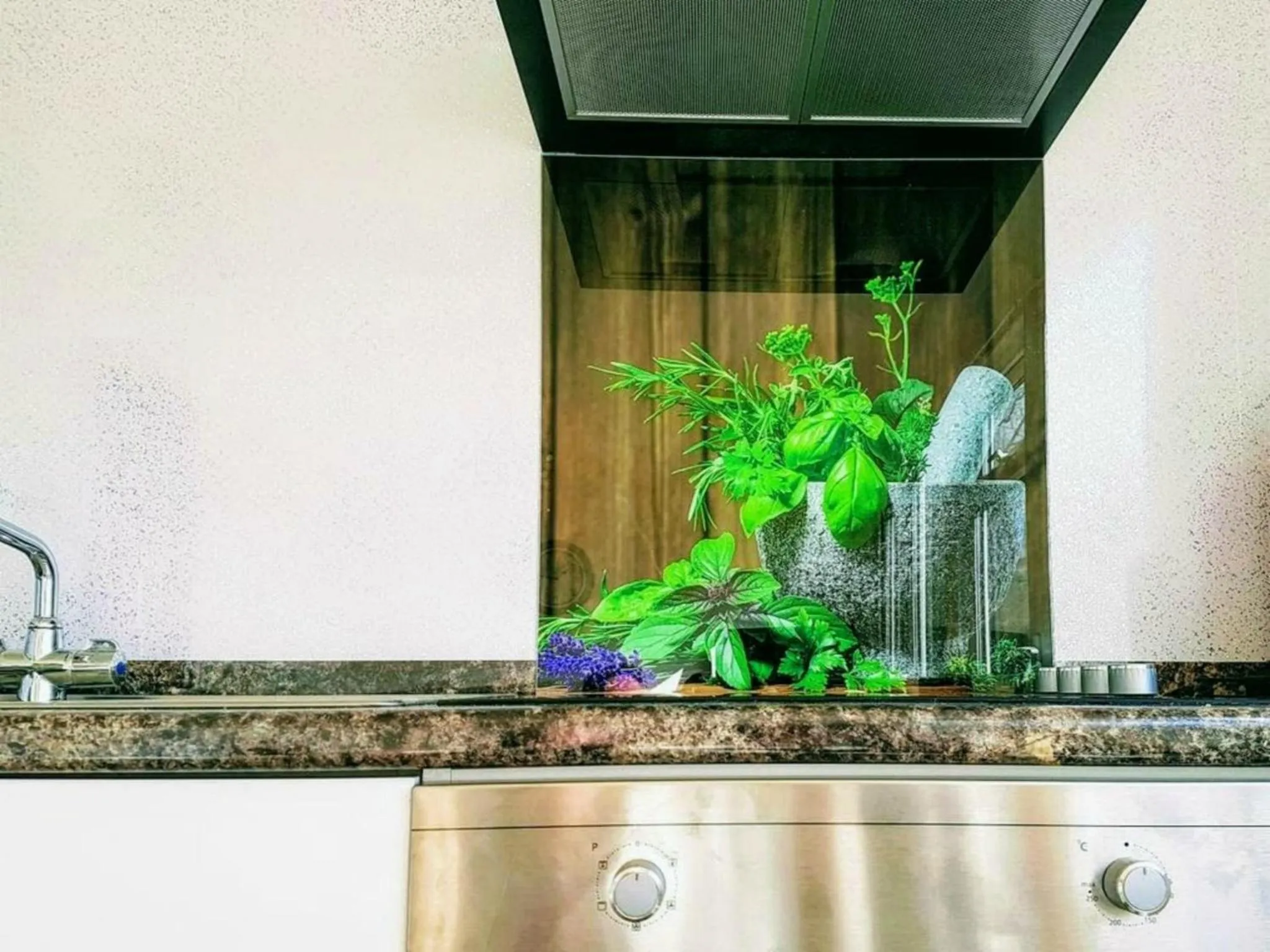 Kitchen or kitchenette in Dawlish Warren Holidays