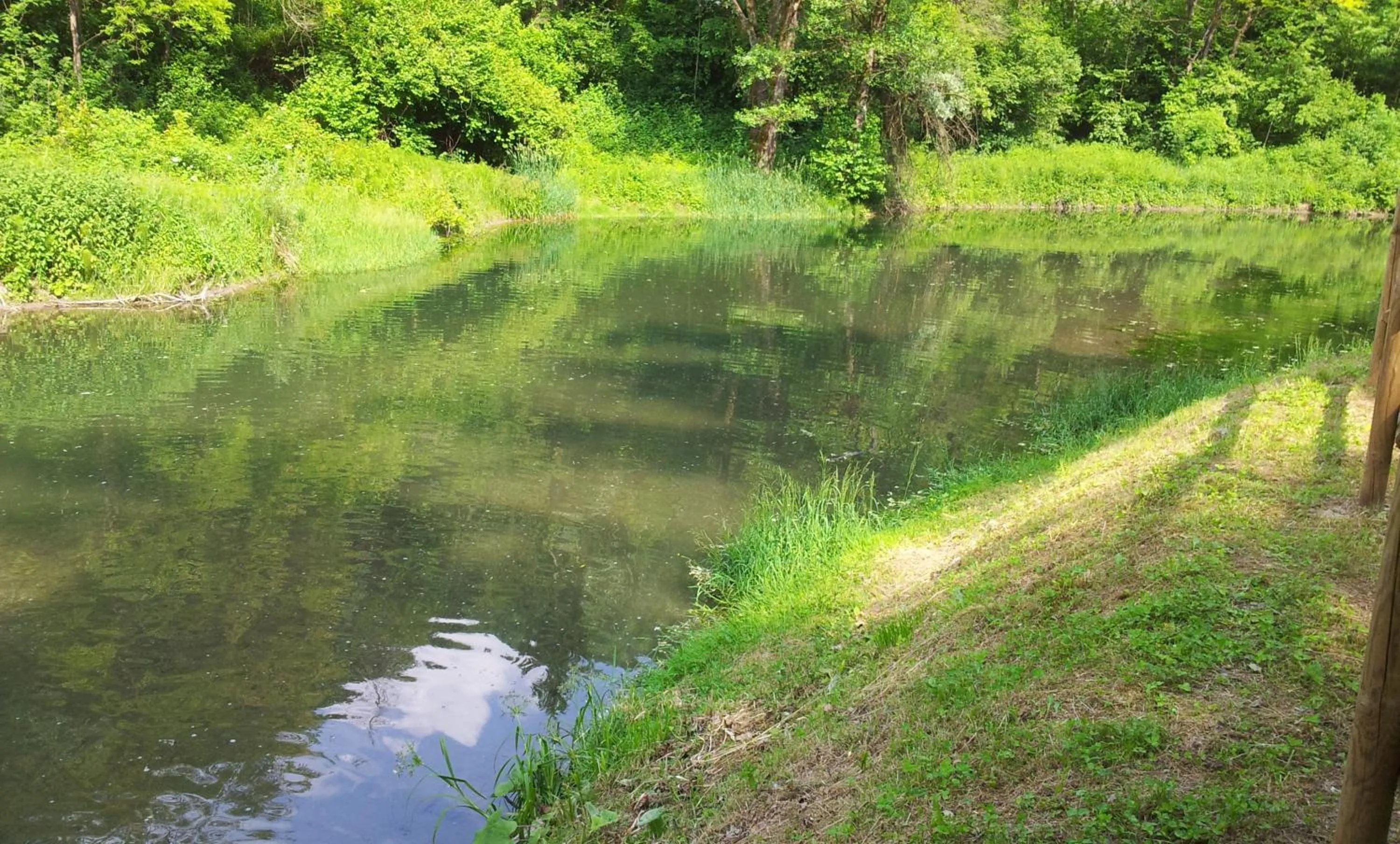 Natural landscape in B&B Casa Arcangeli