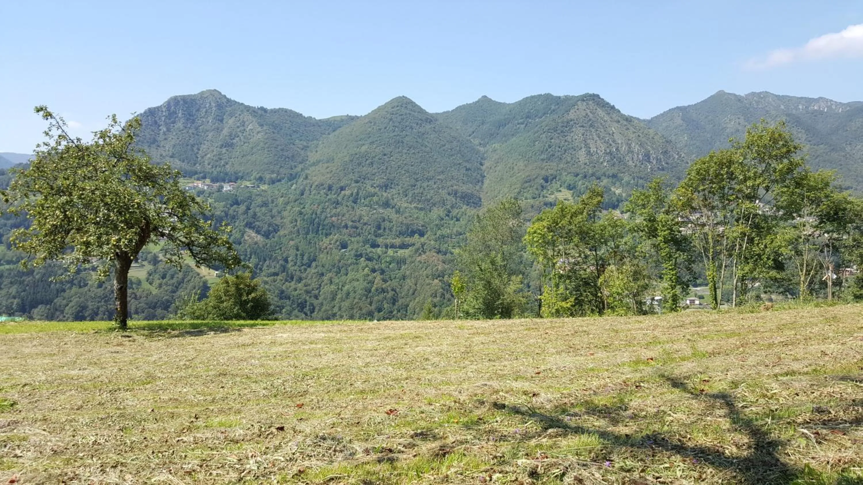 Summer in B&B Casa Arcangeli