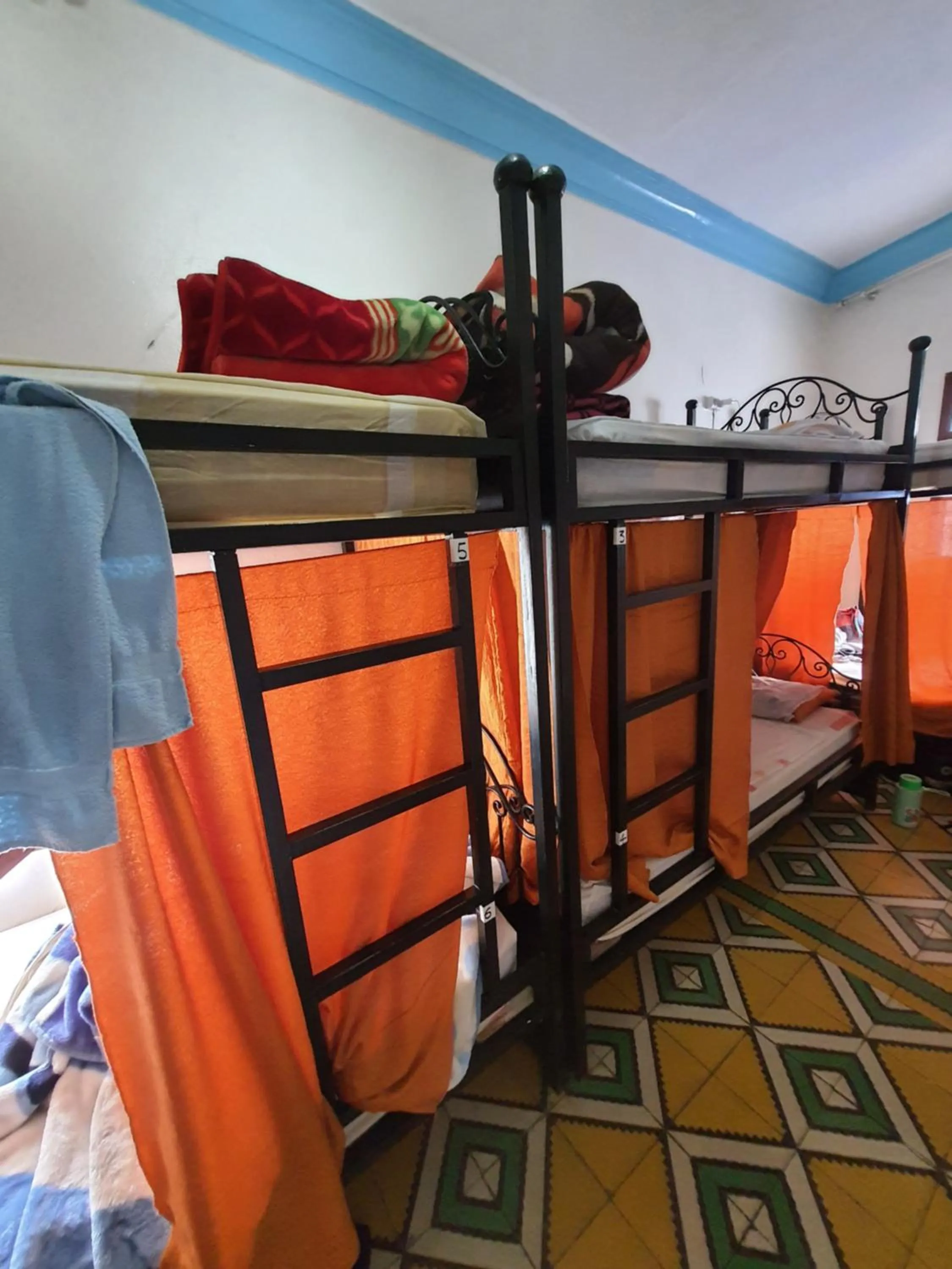 Bed in Hostel ALINE