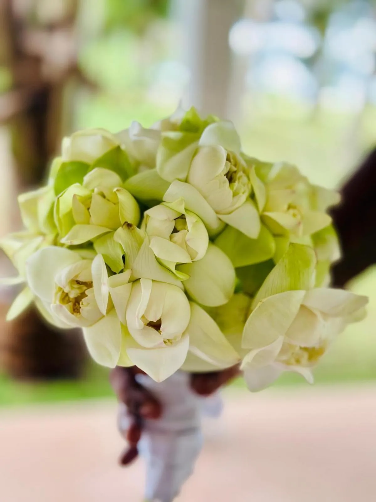 108 Palms Beach Resort