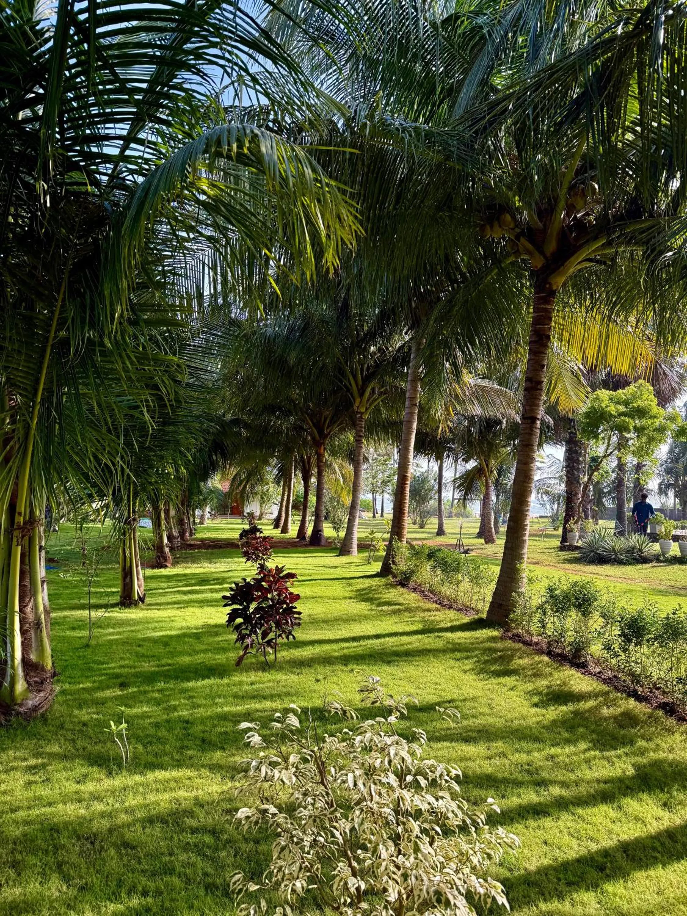 108 Palms Beach Resort