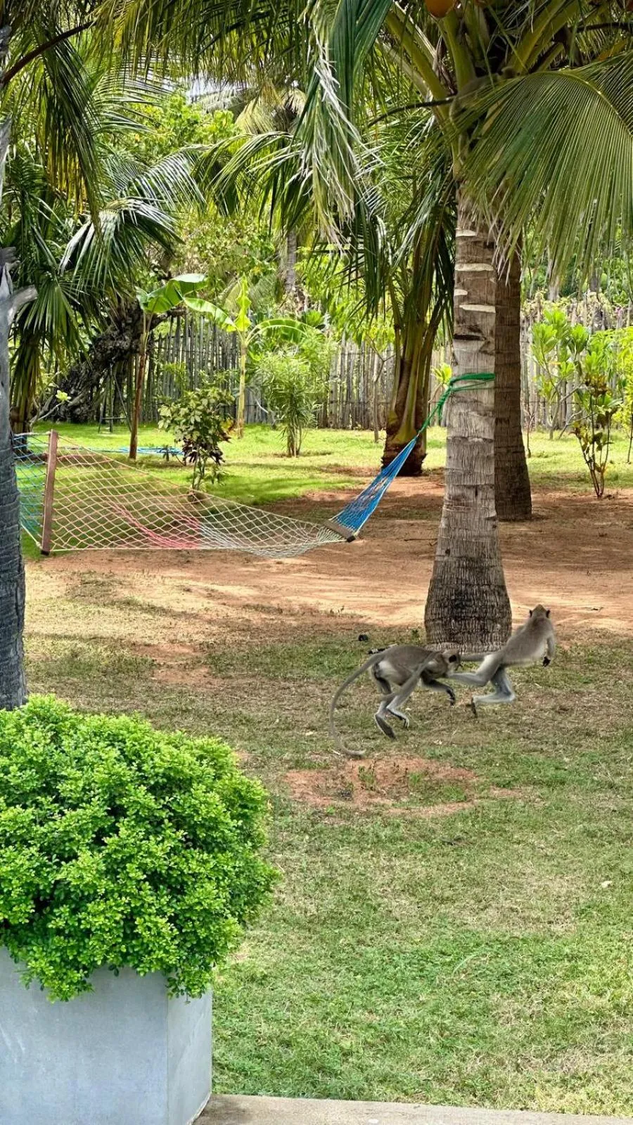 108 Palms Beach Resort