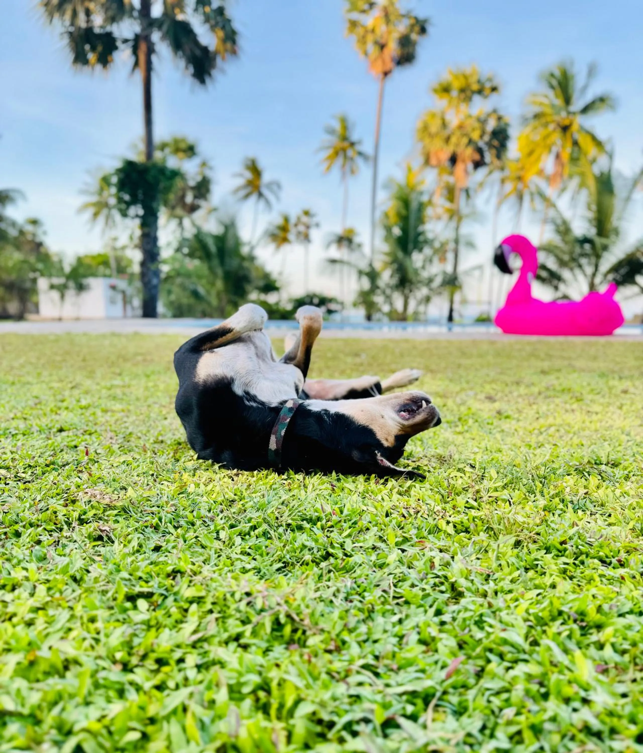 108 Palms Beach Resort