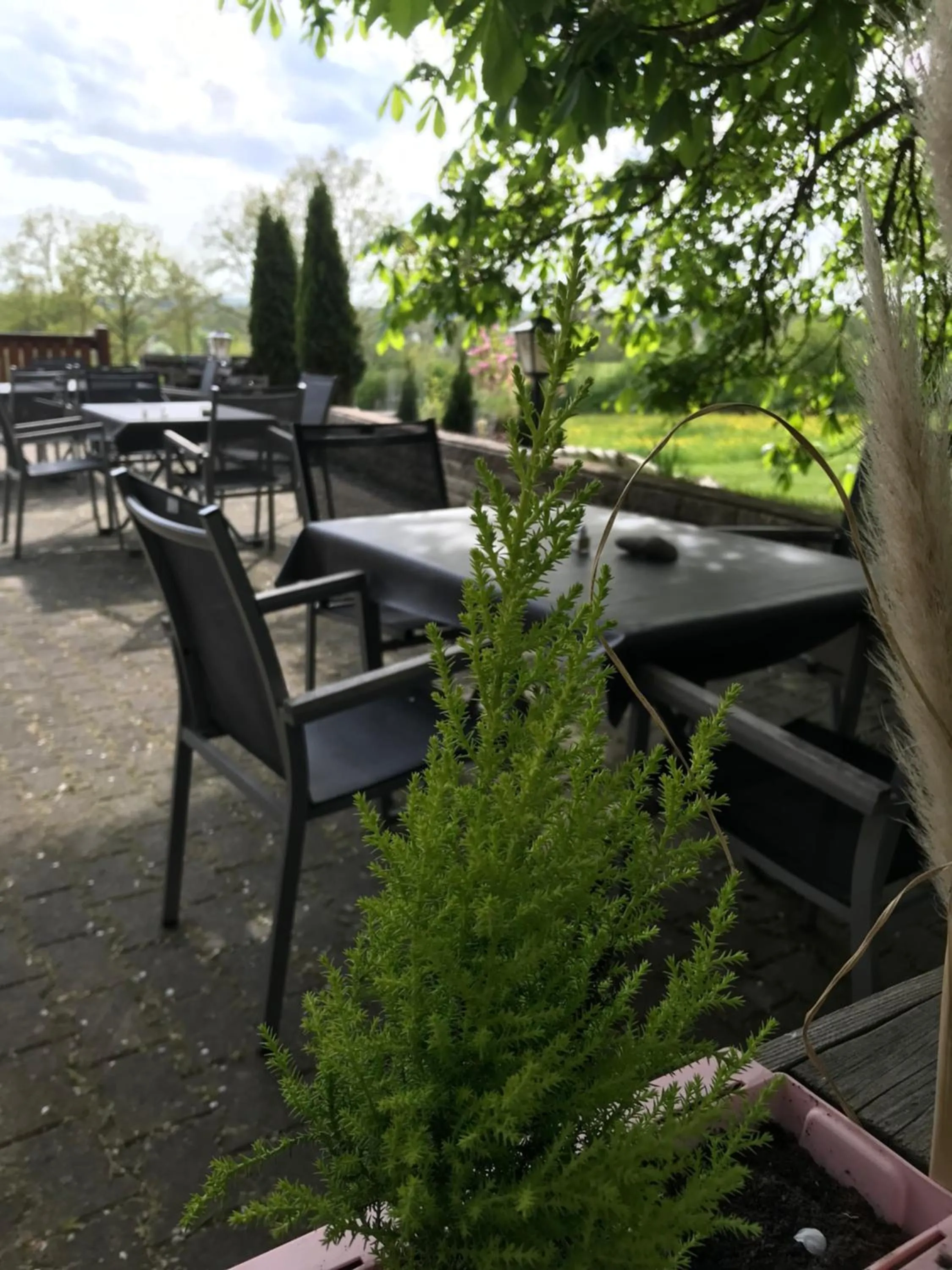 Garden in Landgasthof Felsenkeller