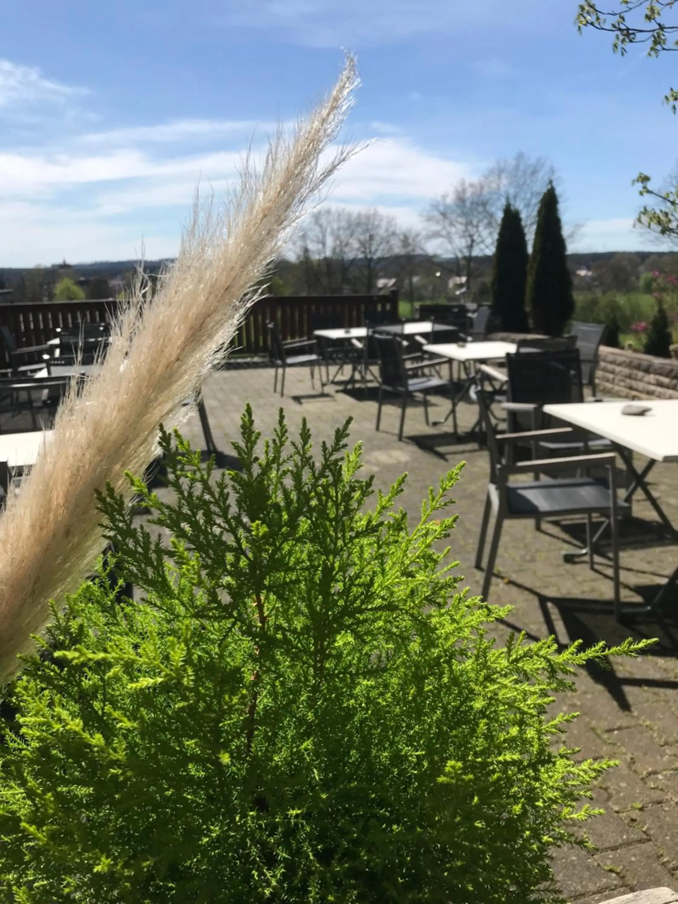 Garden in Landgasthof Felsenkeller