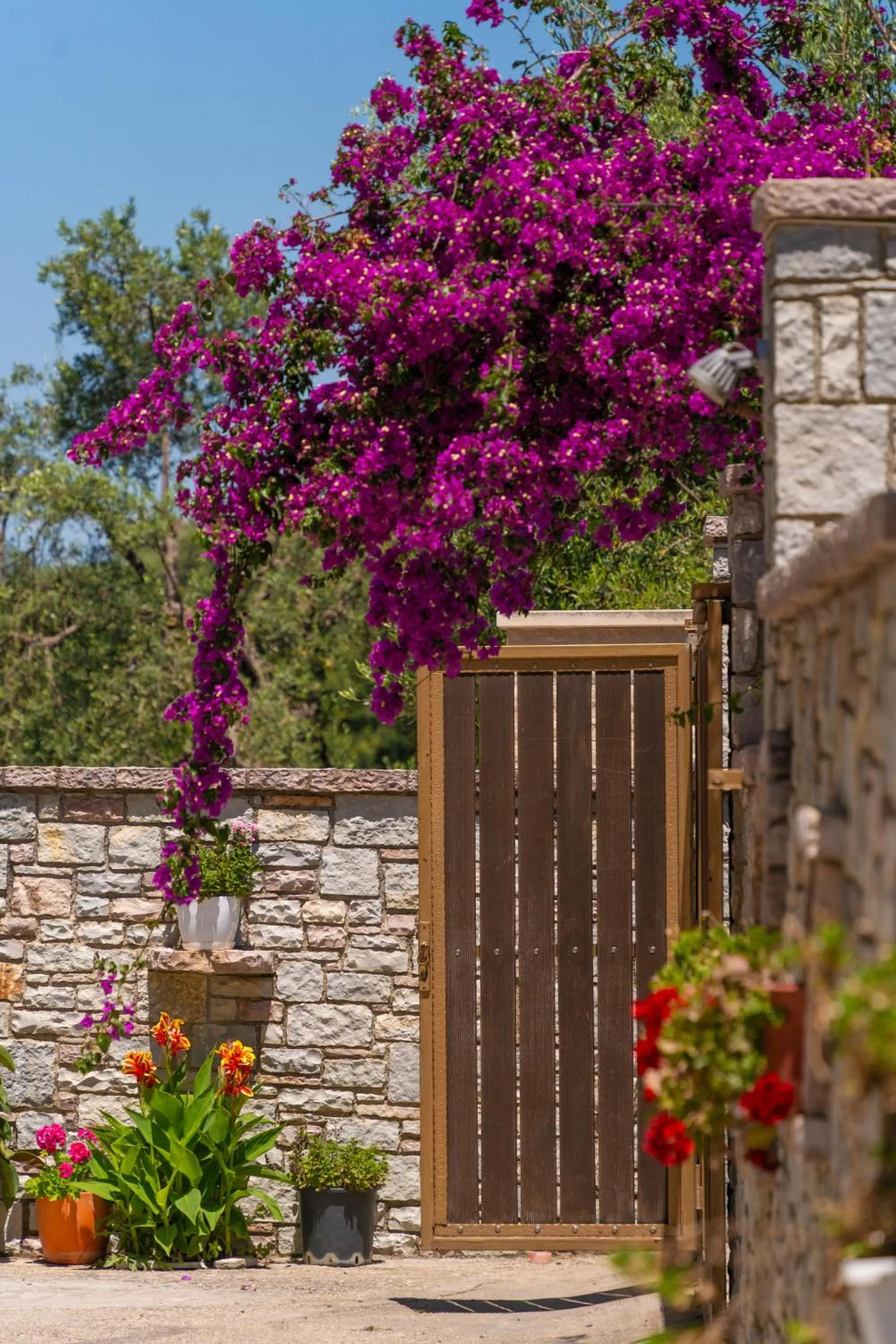 Spring in Olivet Hotel