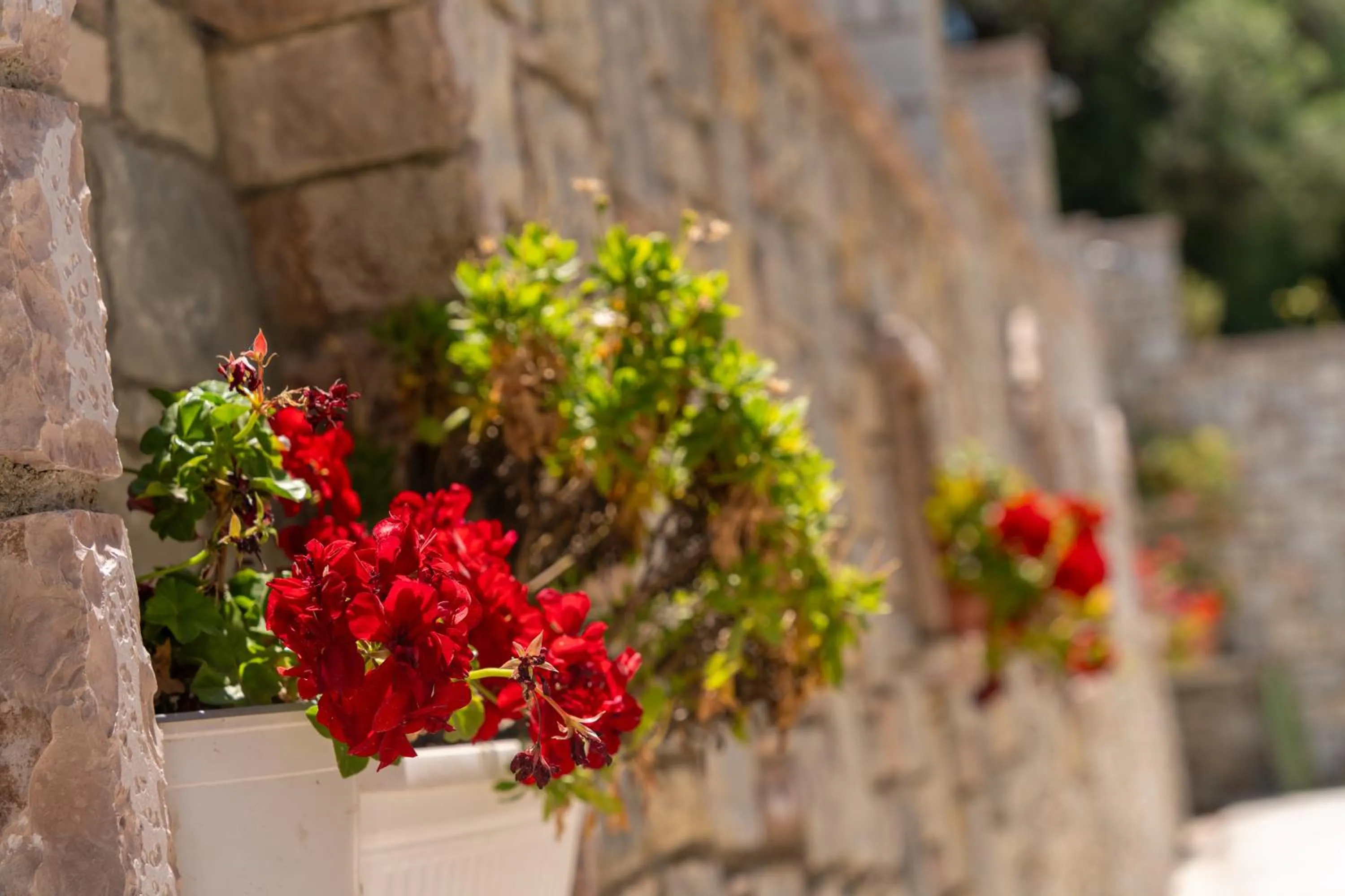 Spring in Olivet Hotel