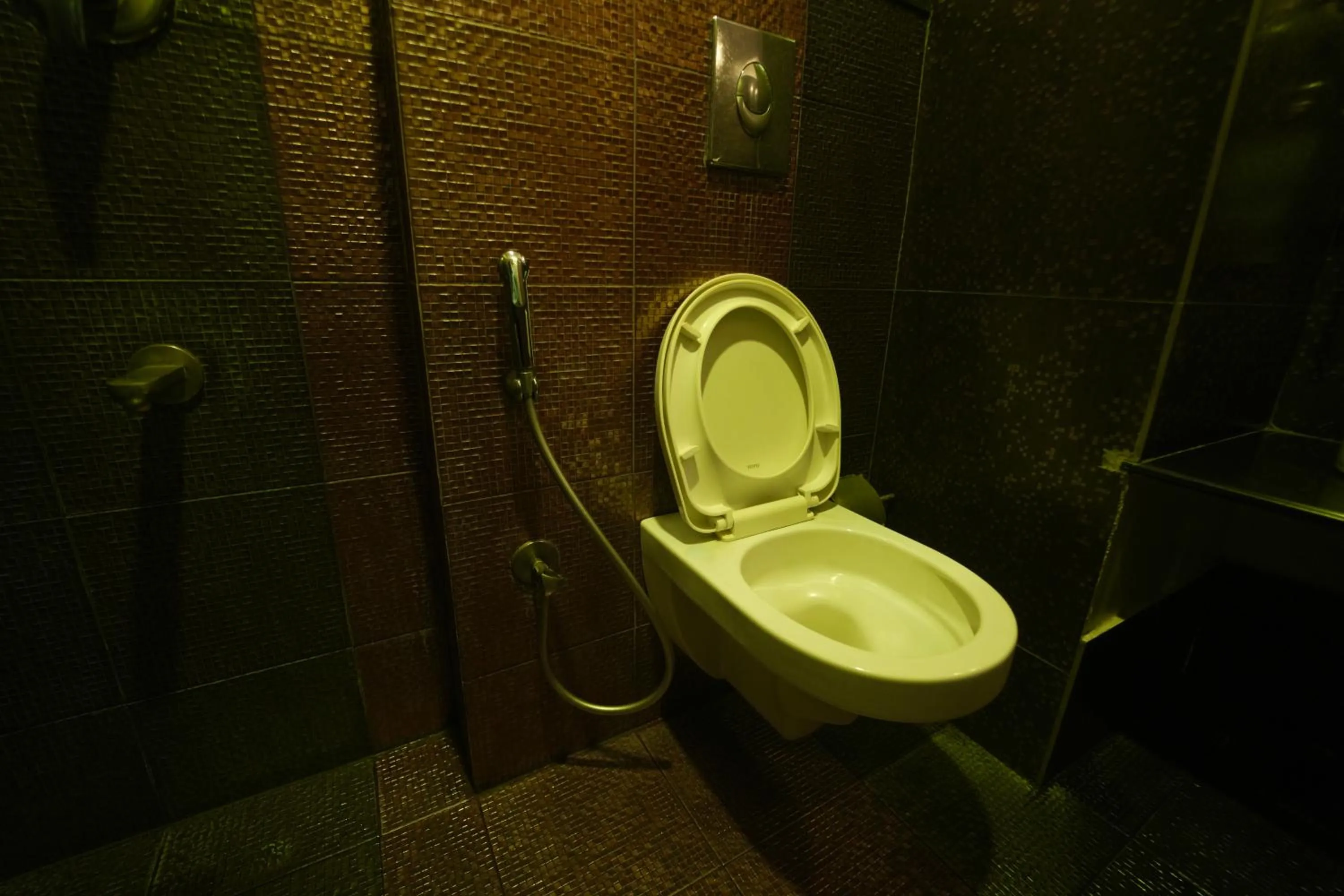 Toilet in Sepoy Grande Mysore