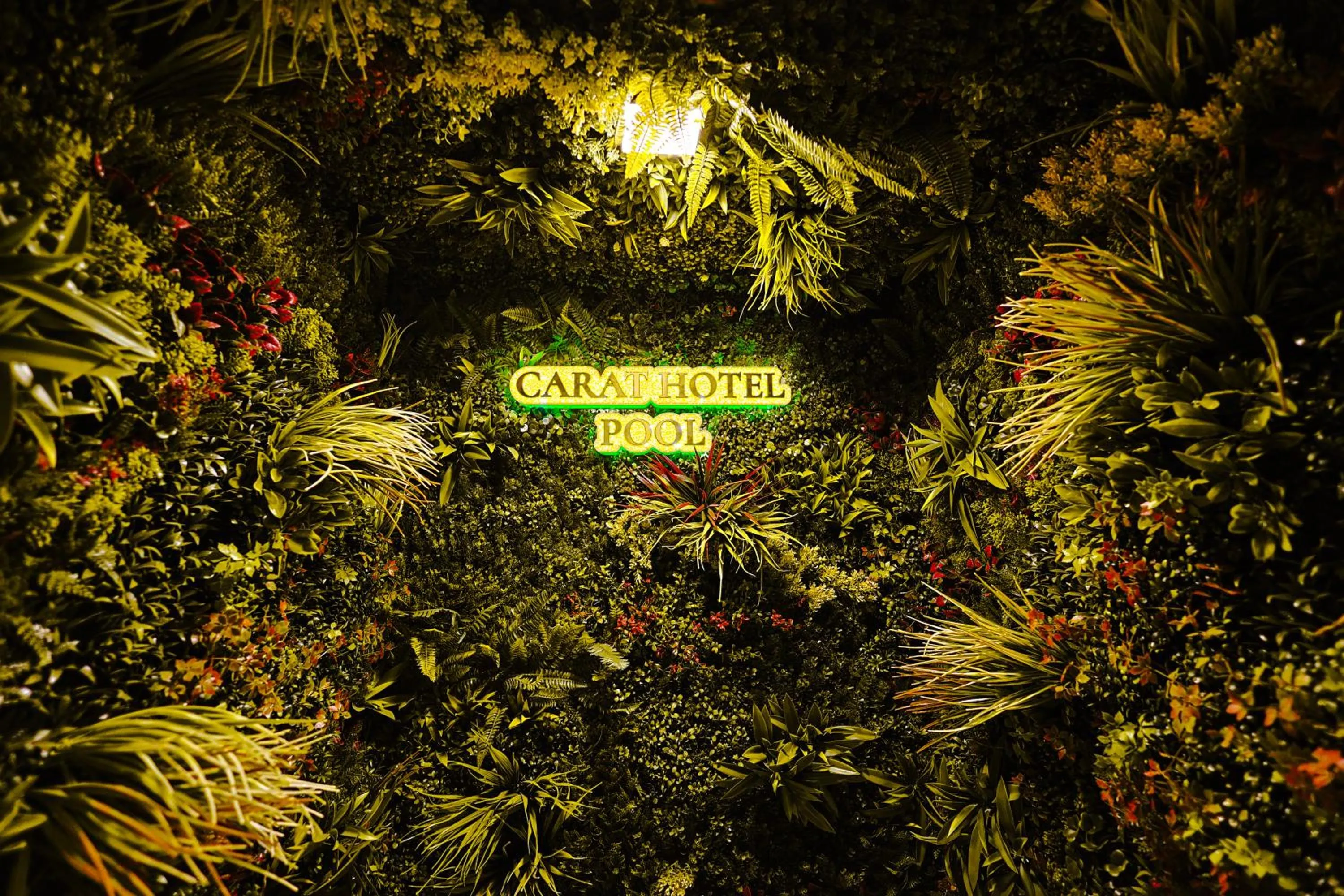 Swimming pool in Carat Hotel Yerevan