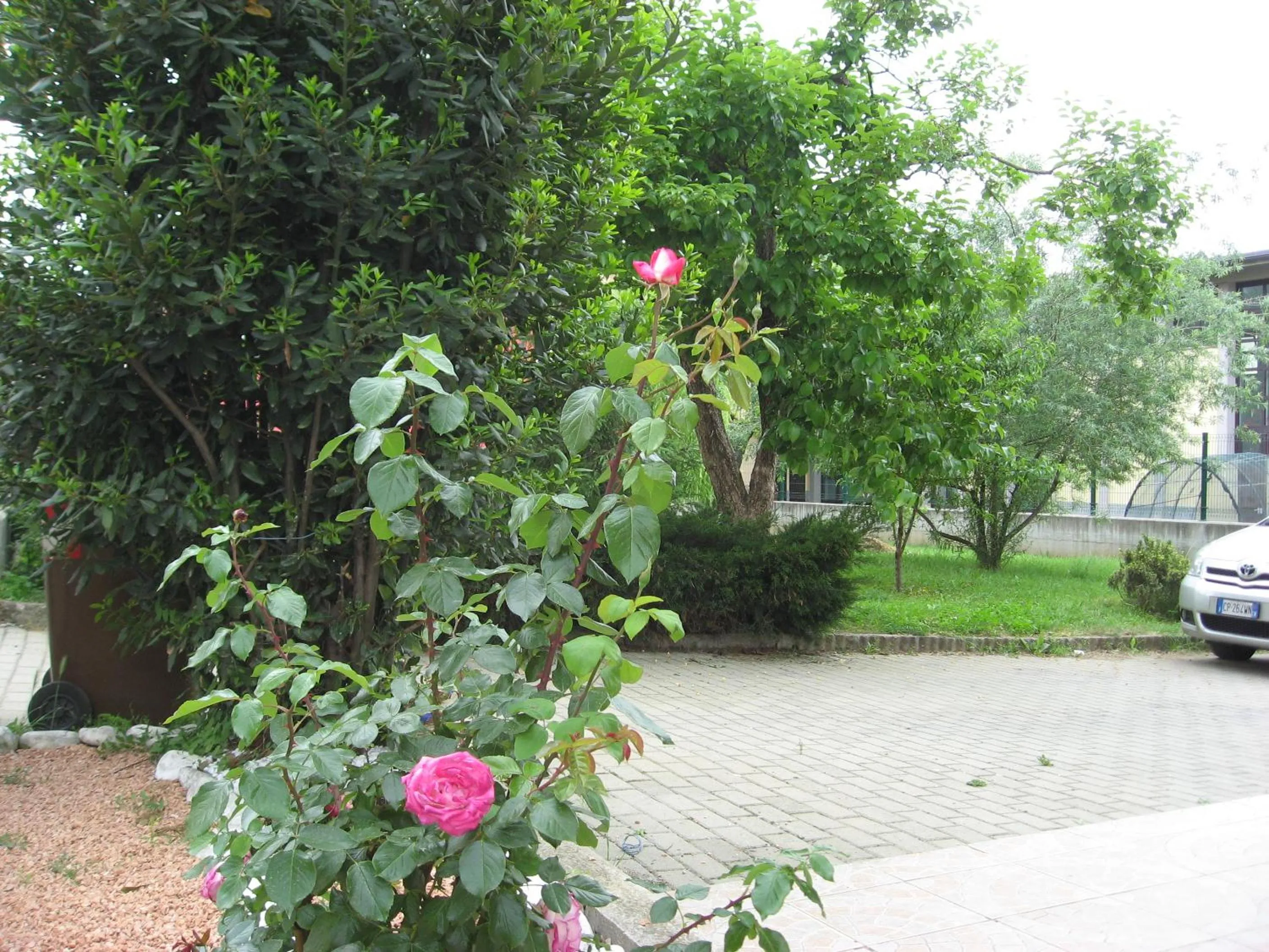 Garden view in Casa Bruno B&B