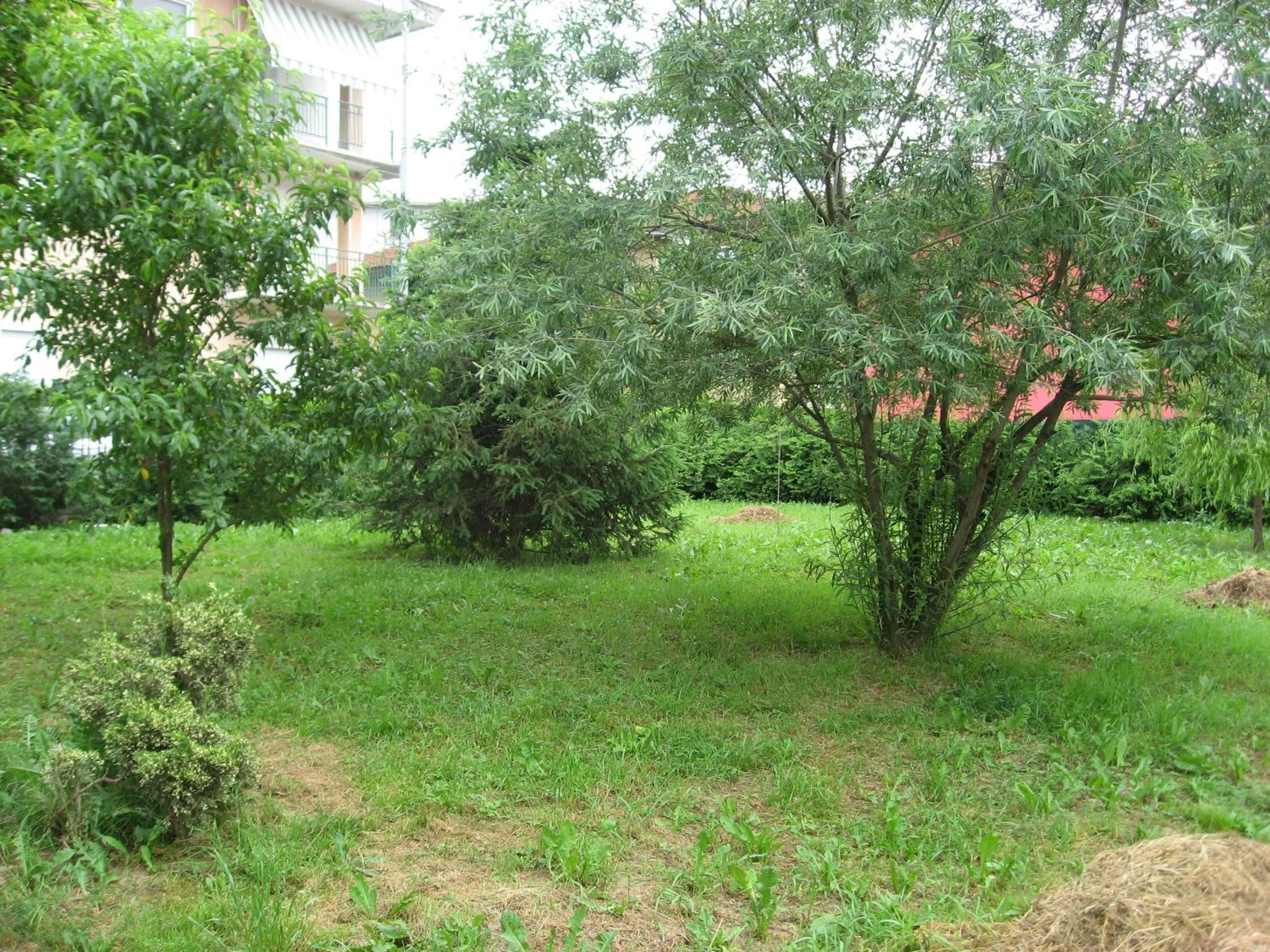 Garden view in Casa Bruno B&B