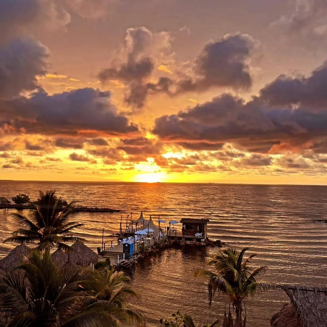 Family Room (5 Adults) with Sea View in Hotel La Fragata