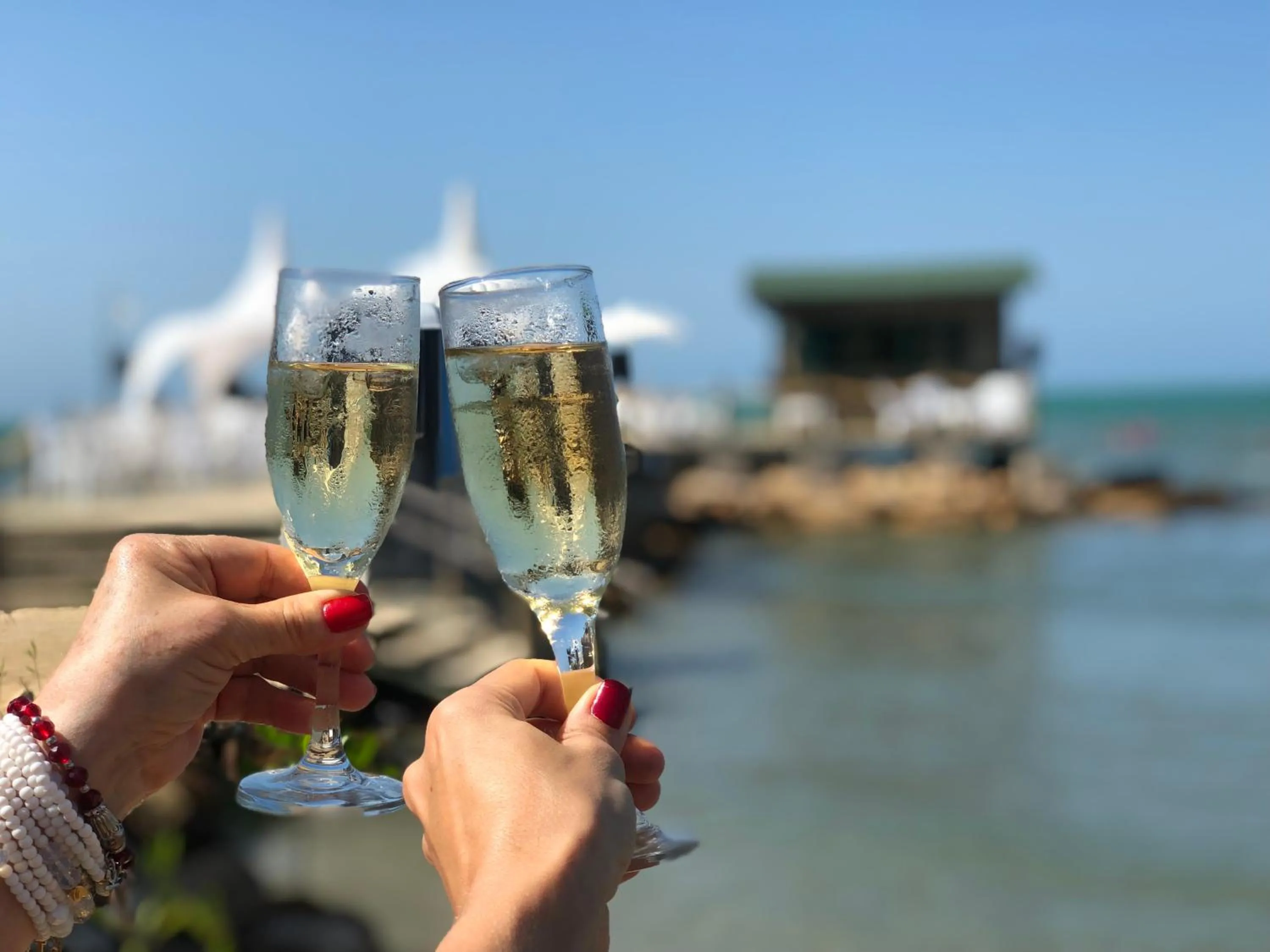 Alcoholic drinks in Hotel La Fragata