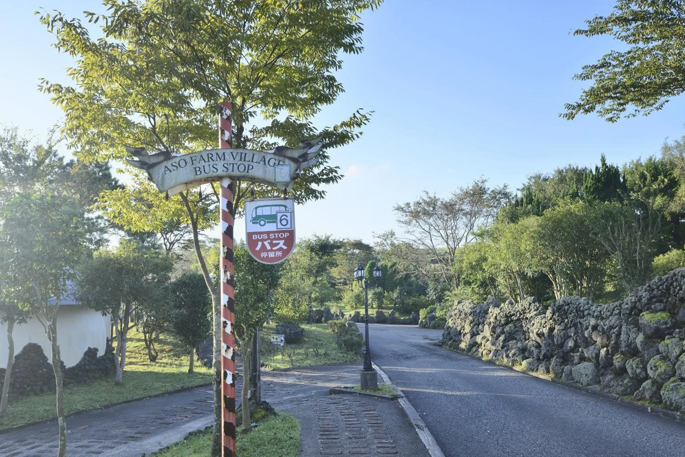 View (from property/room) in Aso Farm Land