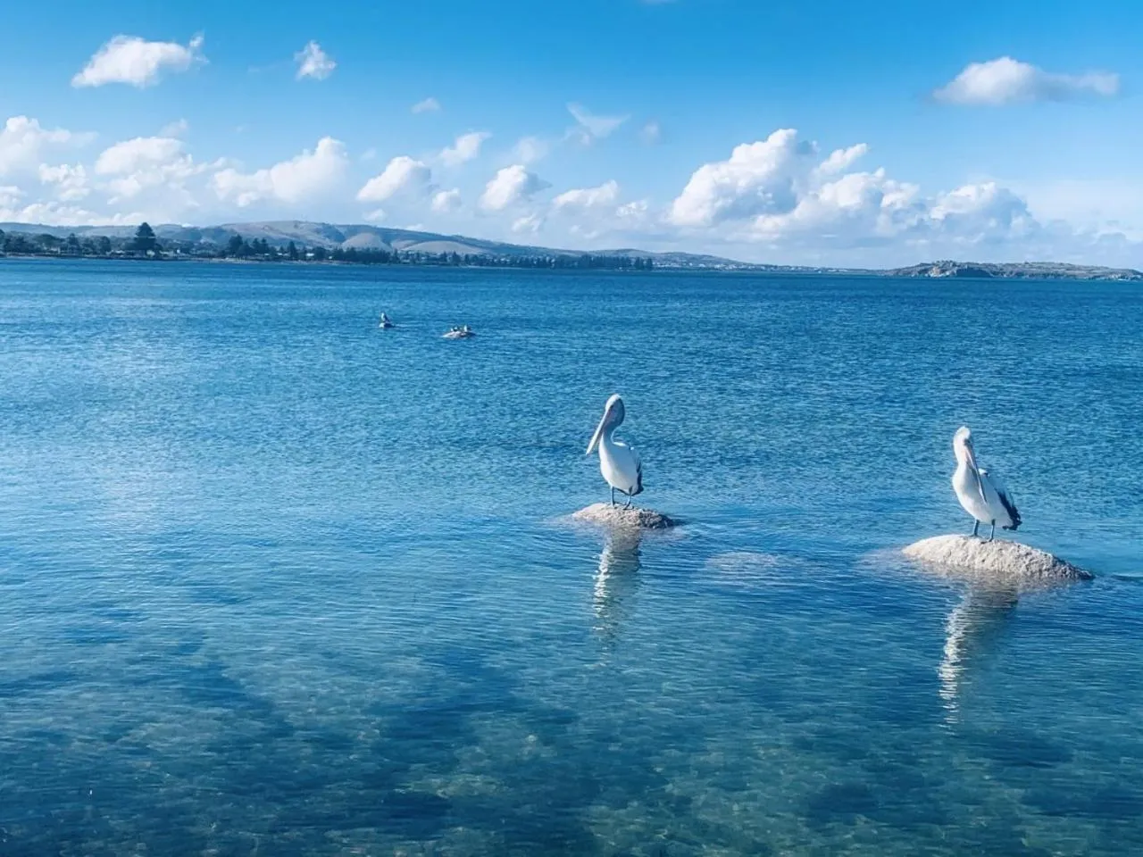 Spring in The Bluff Resort Apartments