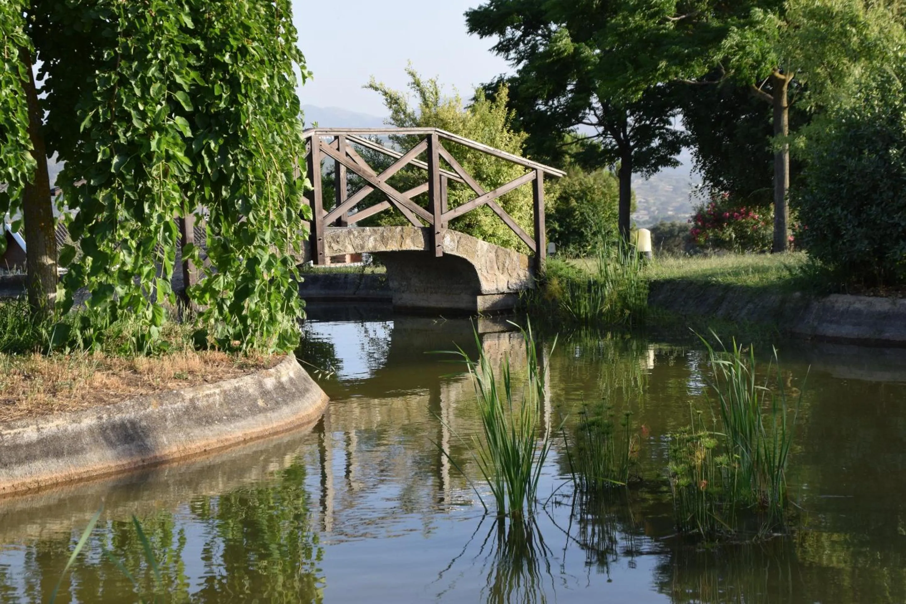 Garden in Villa Casa Alta