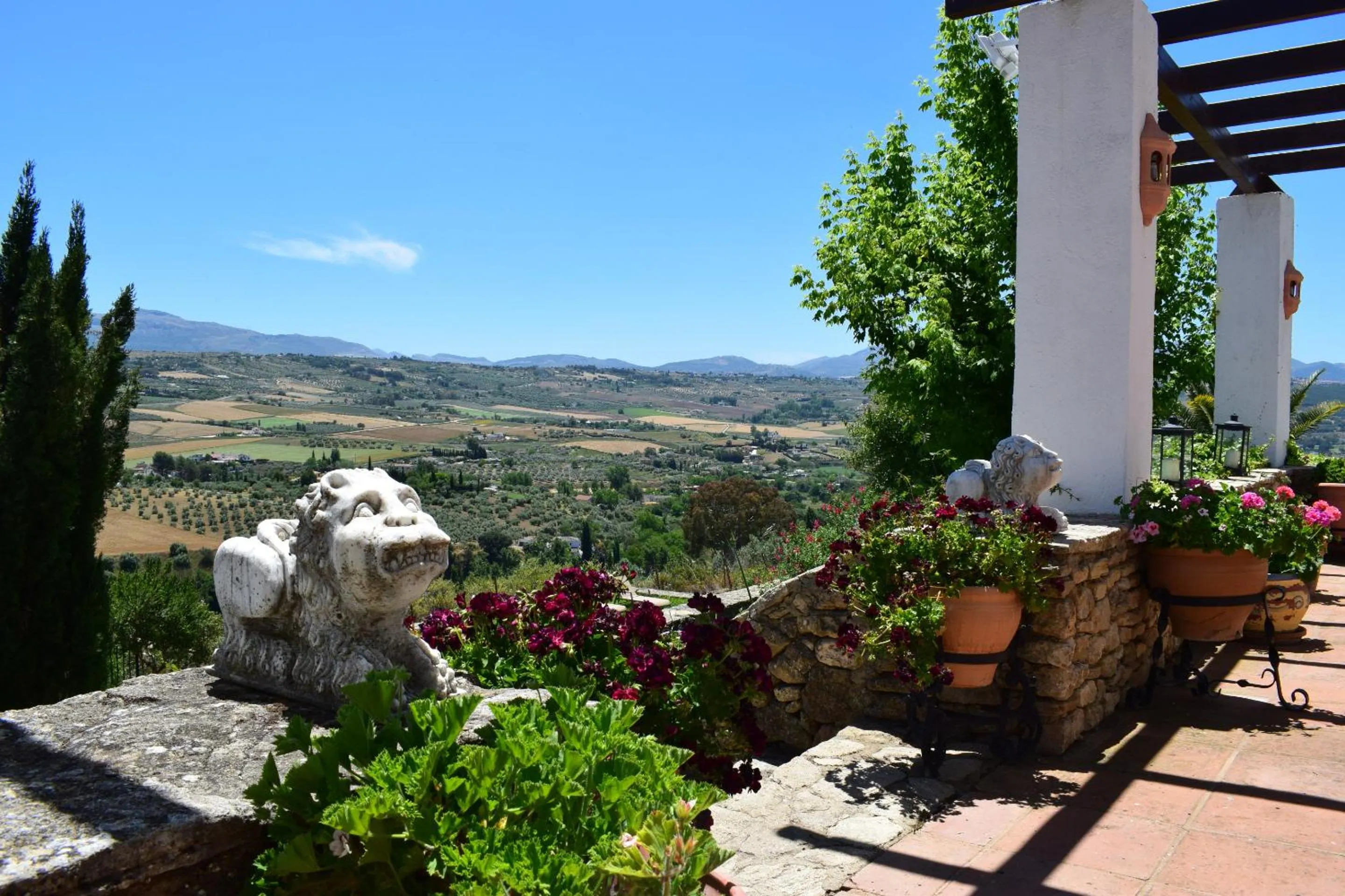 View (from property/room) in Villa Casa Alta
