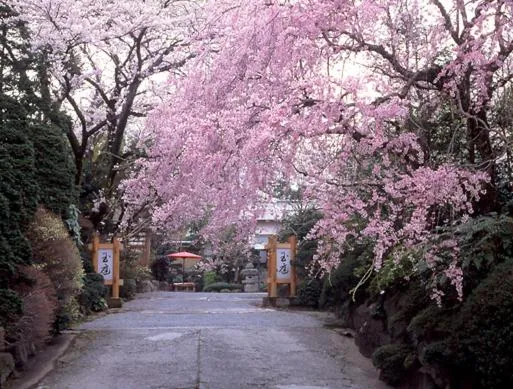 Spring in Gyokutei