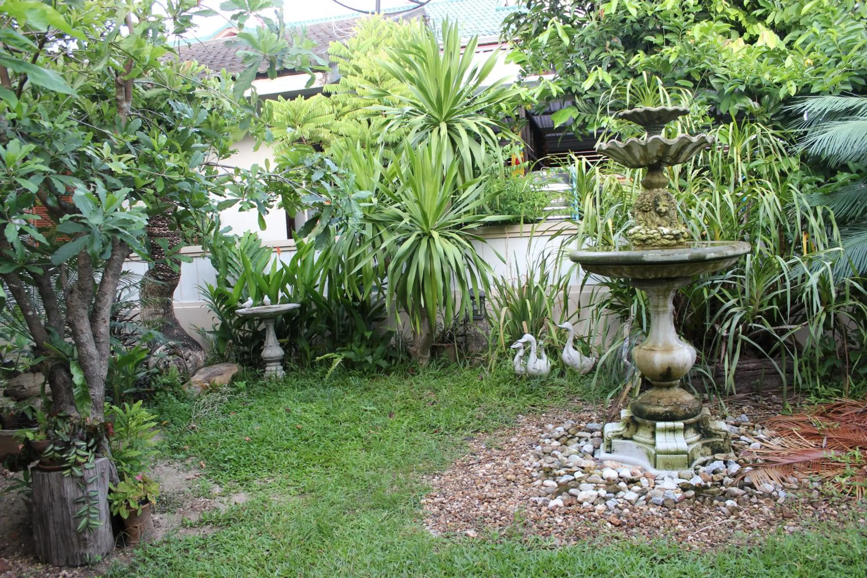 Garden in Tree Home Plus