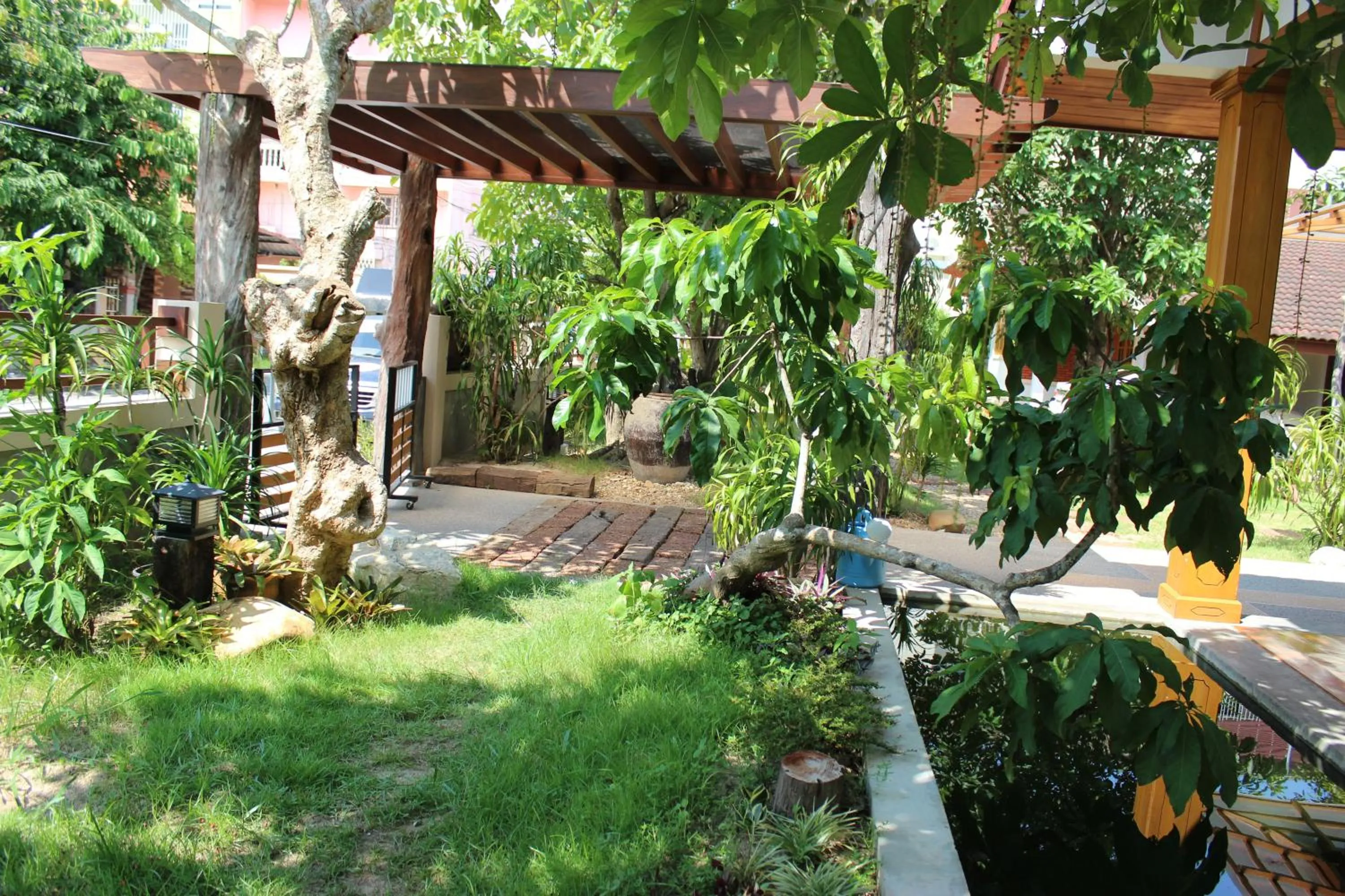 Garden view in Tree Home Plus