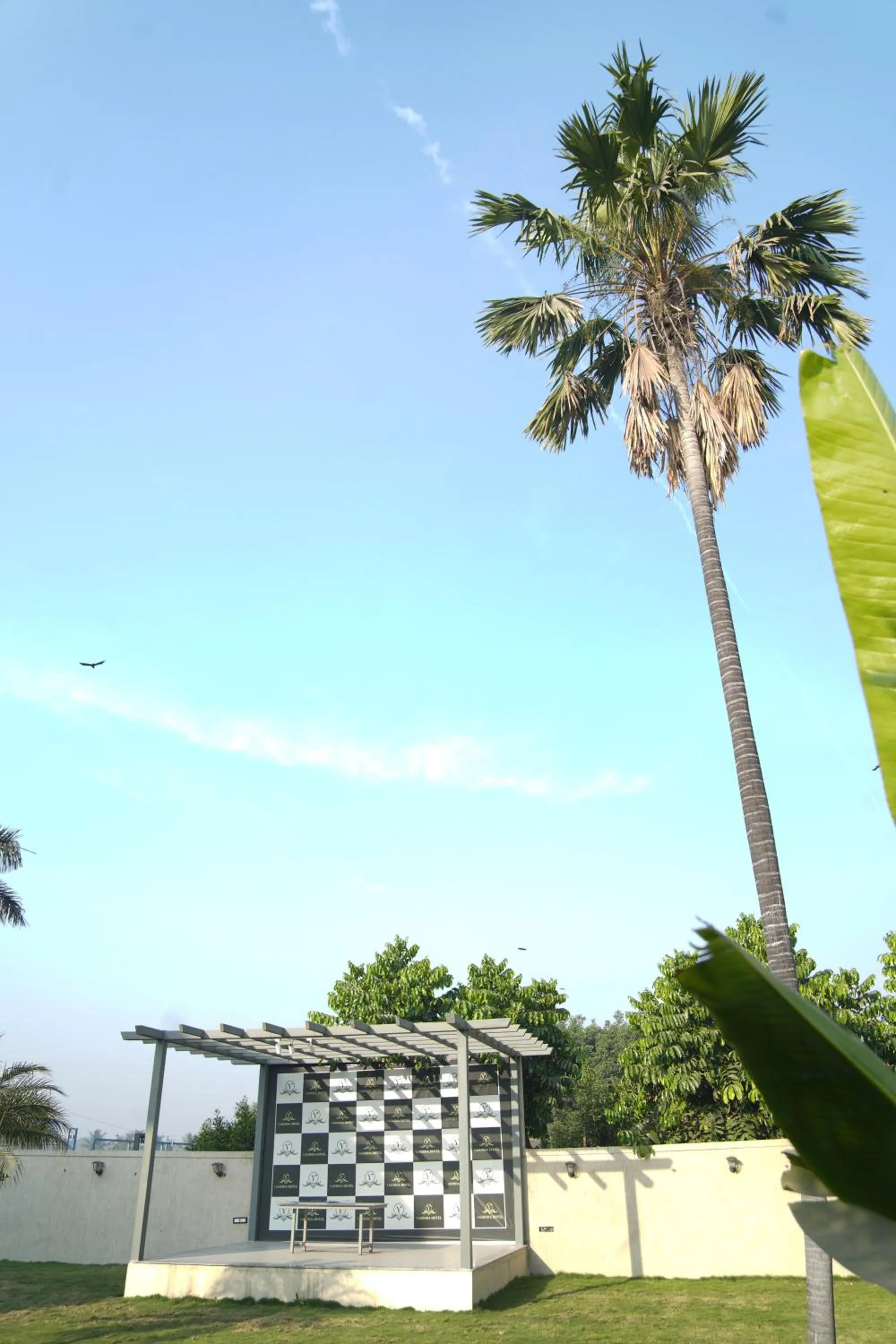 Natural landscape in Hotel Yashoda