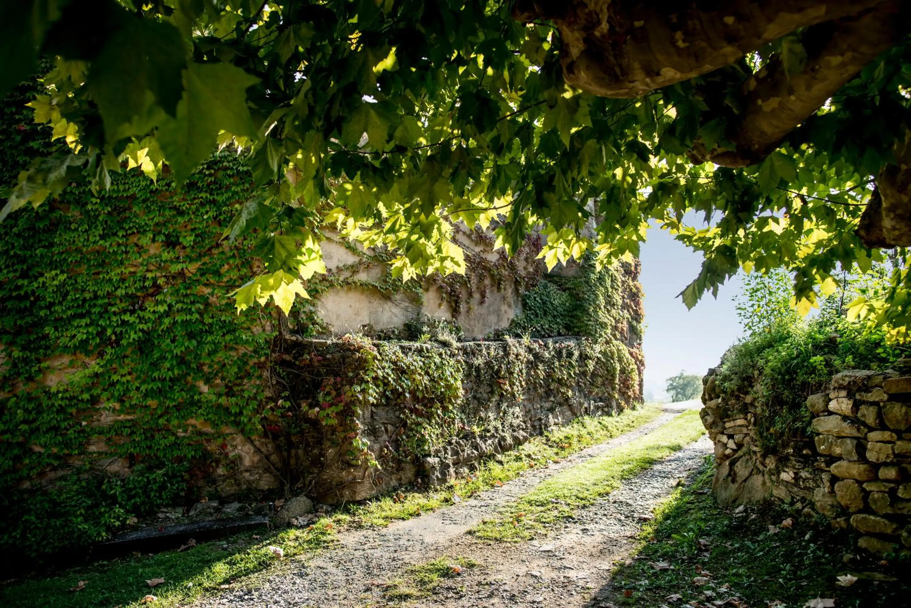 Area and facilities in Hotel Mas la Ferreria