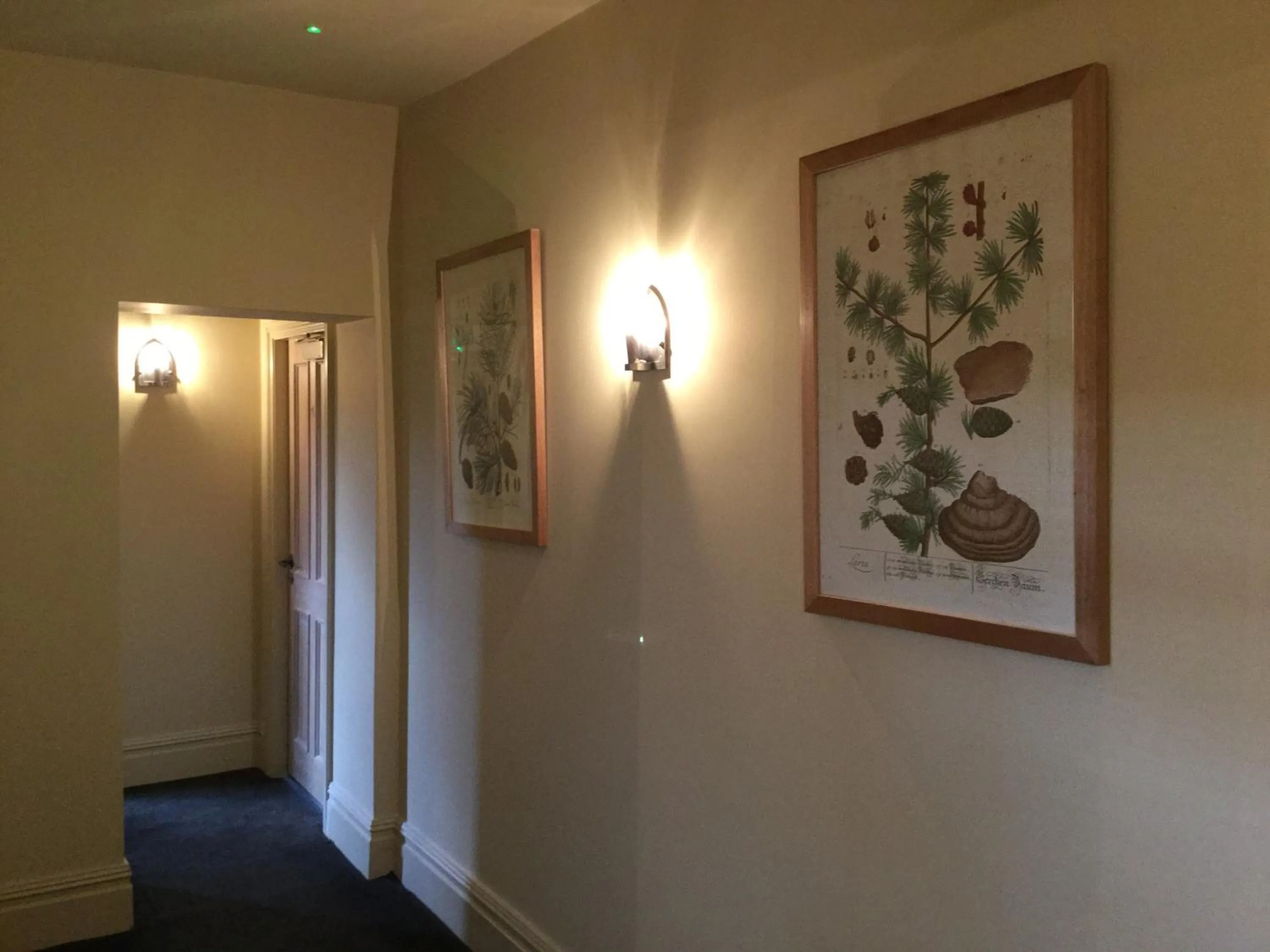 Decorative detail in Derby Arms