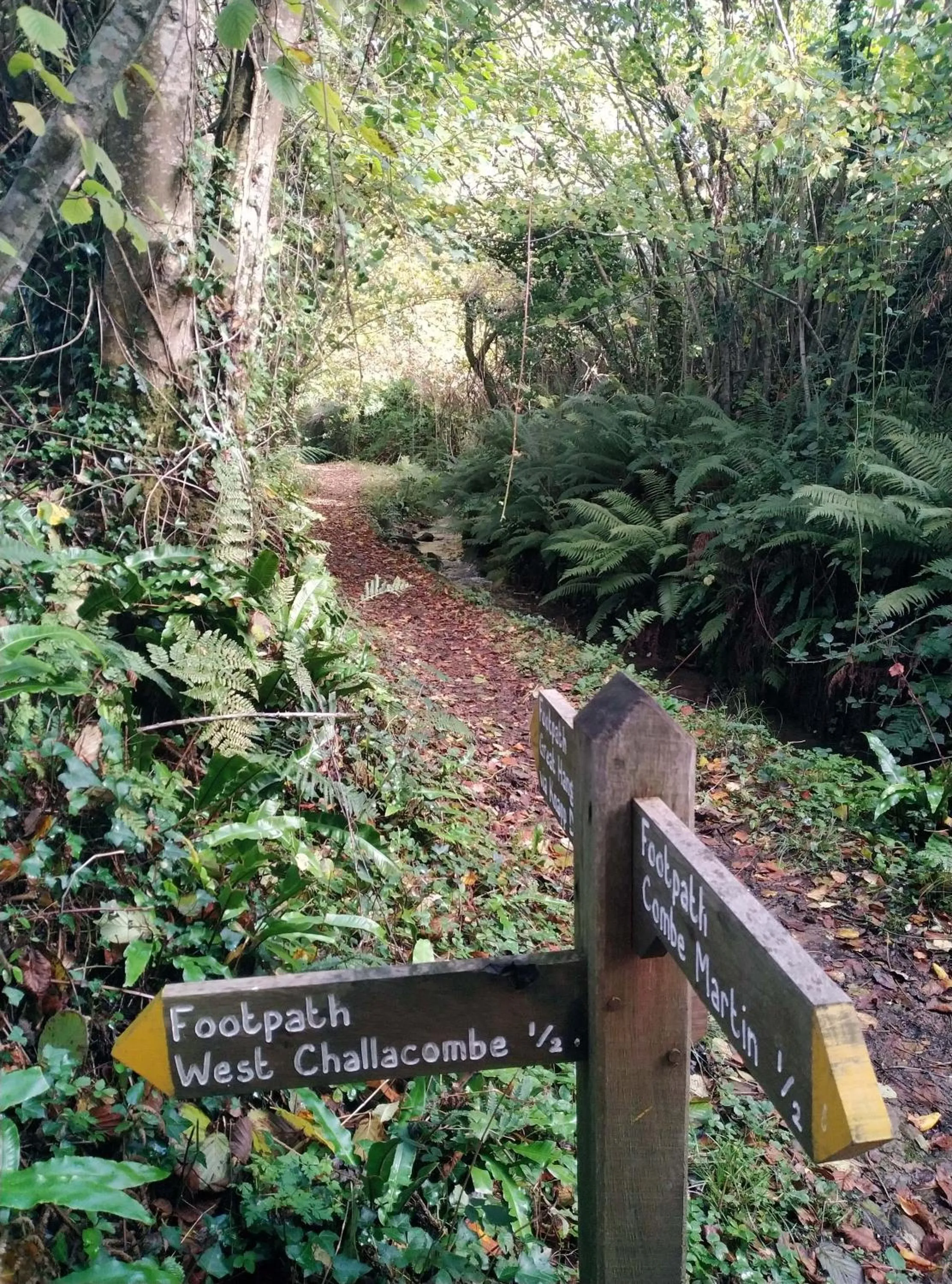 Natural landscape in The Gallery Lodges