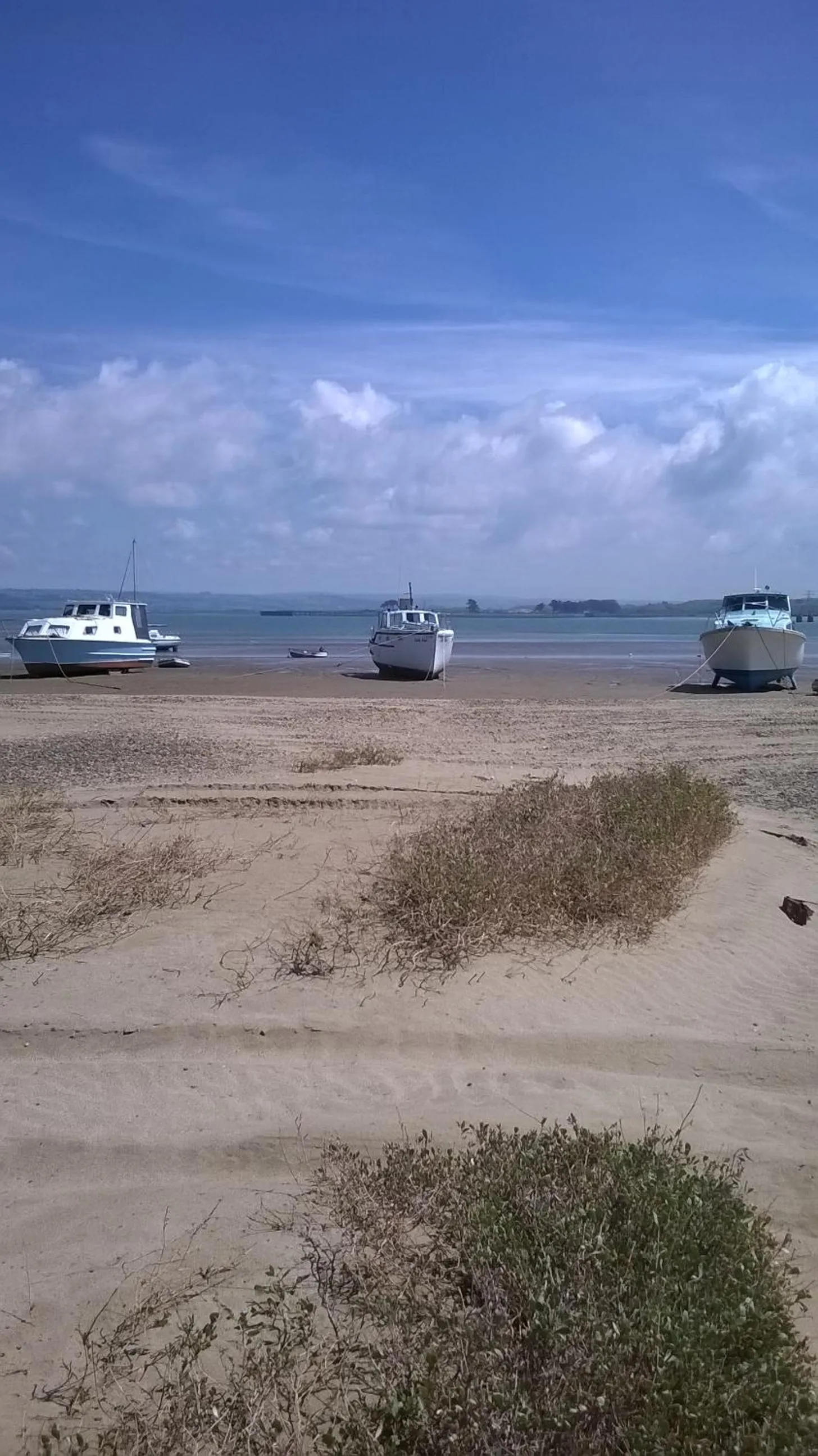 Natural landscape in The Gallery Lodges