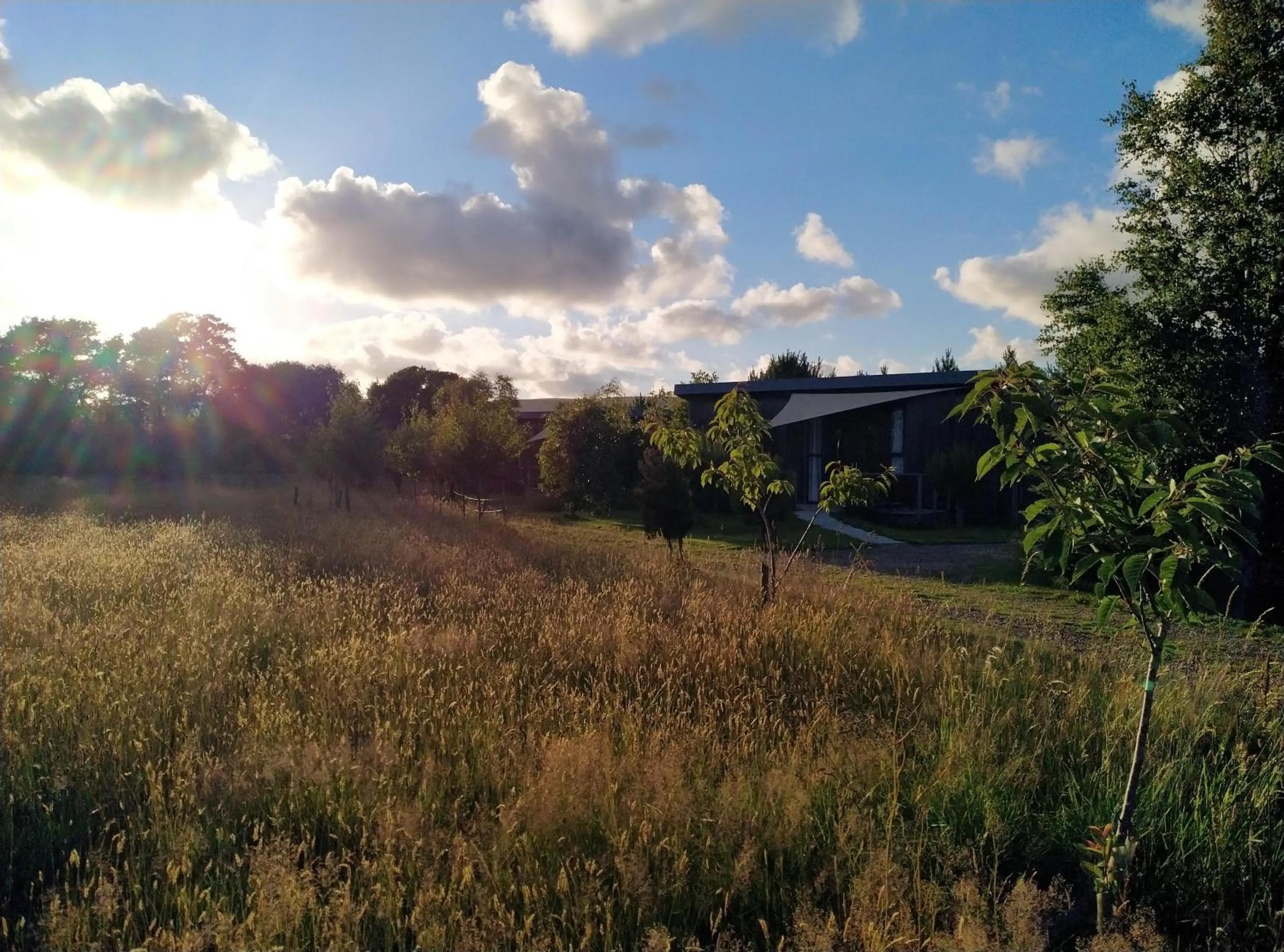 Natural landscape in The Gallery Lodges