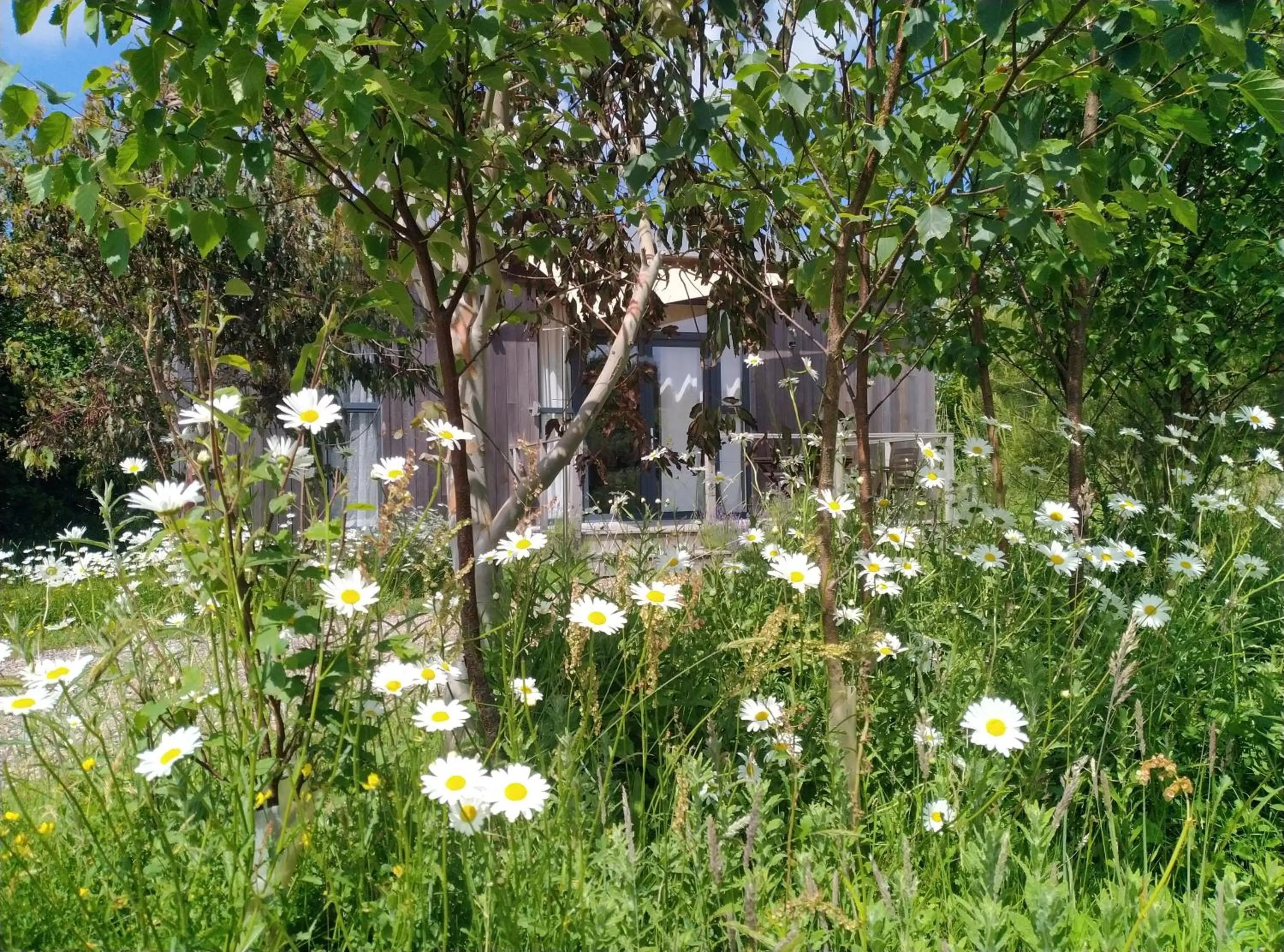 Property building in The Gallery Lodges