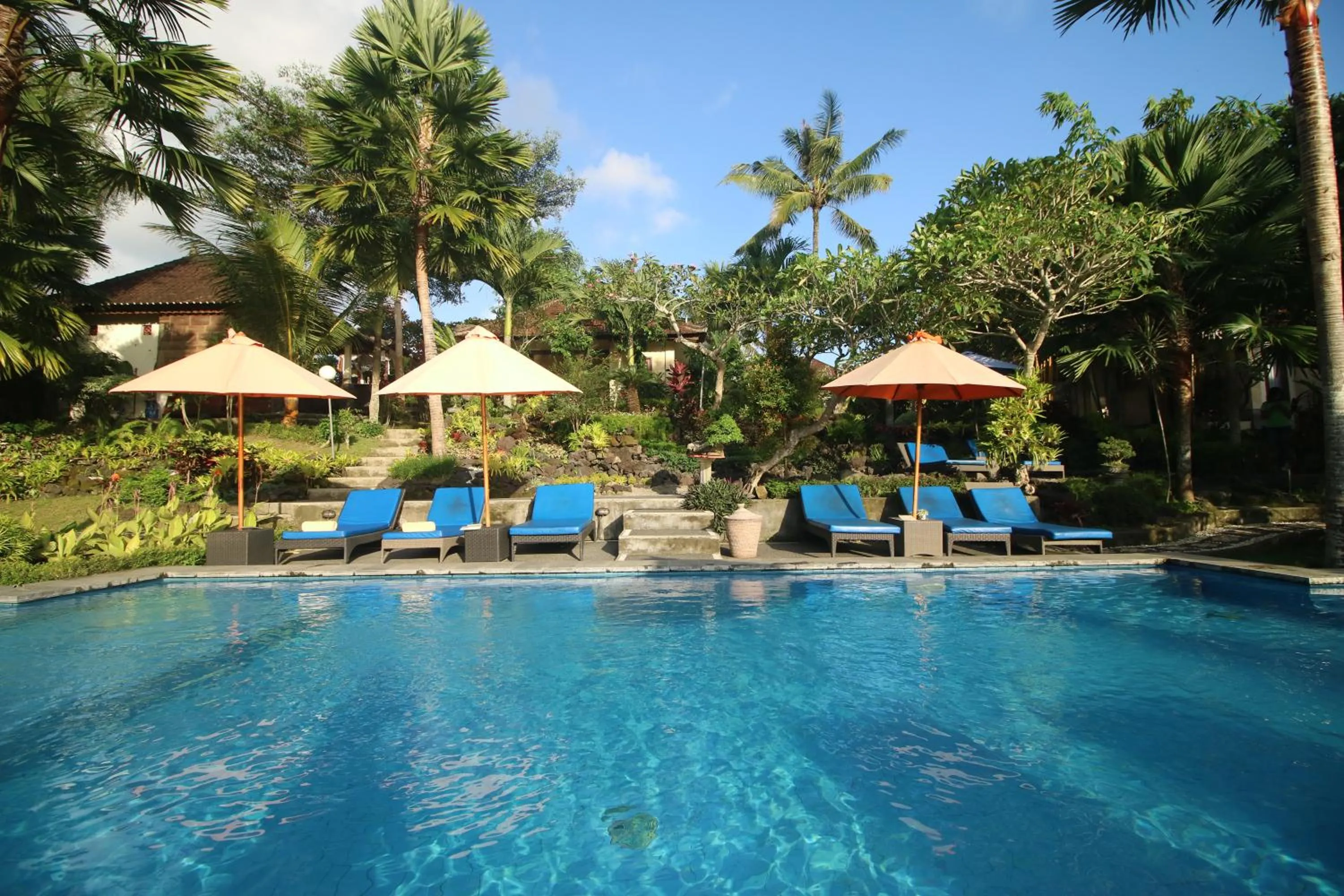 Swimming pool in Villa Capung Mas Ubud