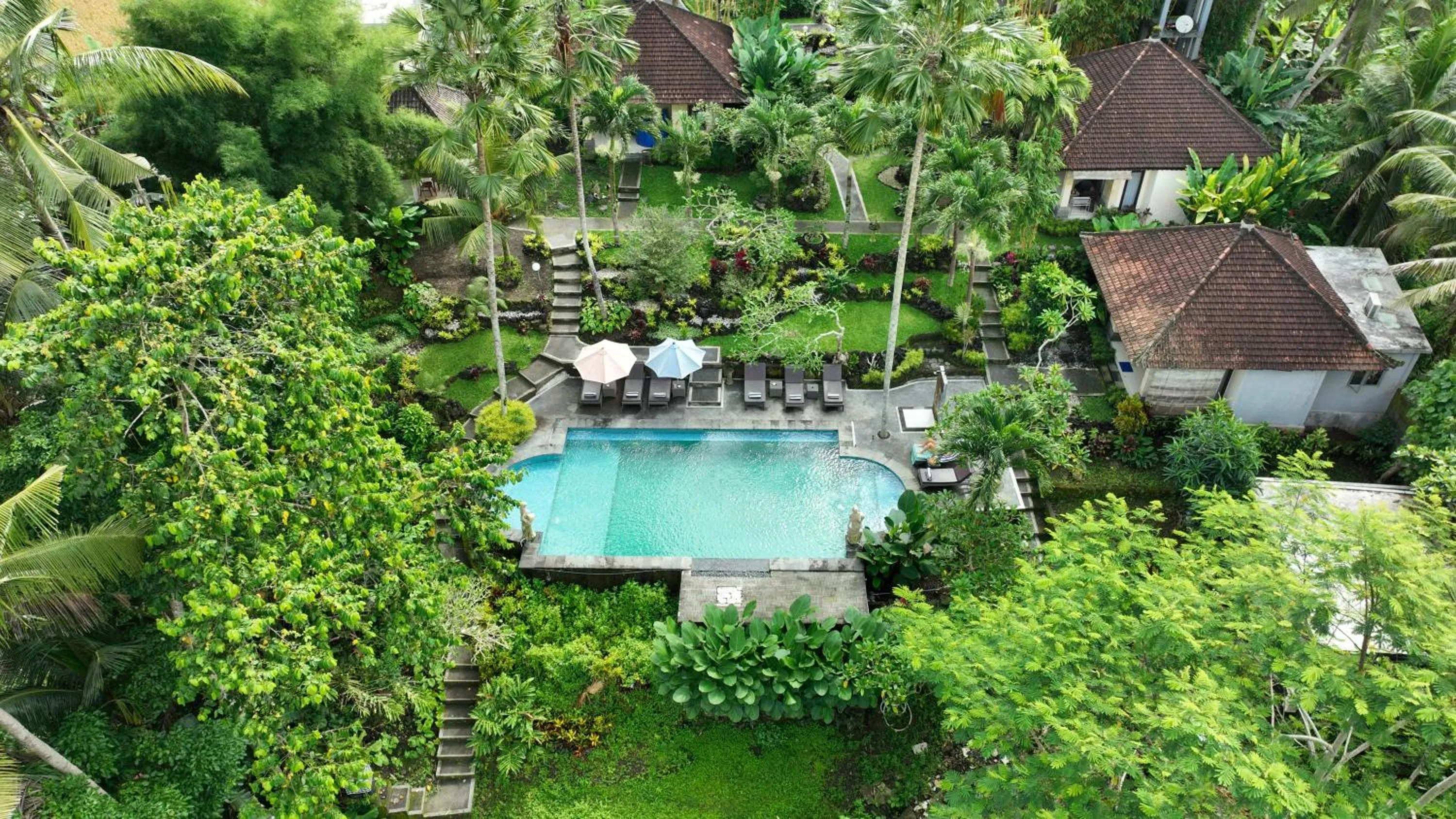 Swimming pool in Villa Capung Mas Ubud