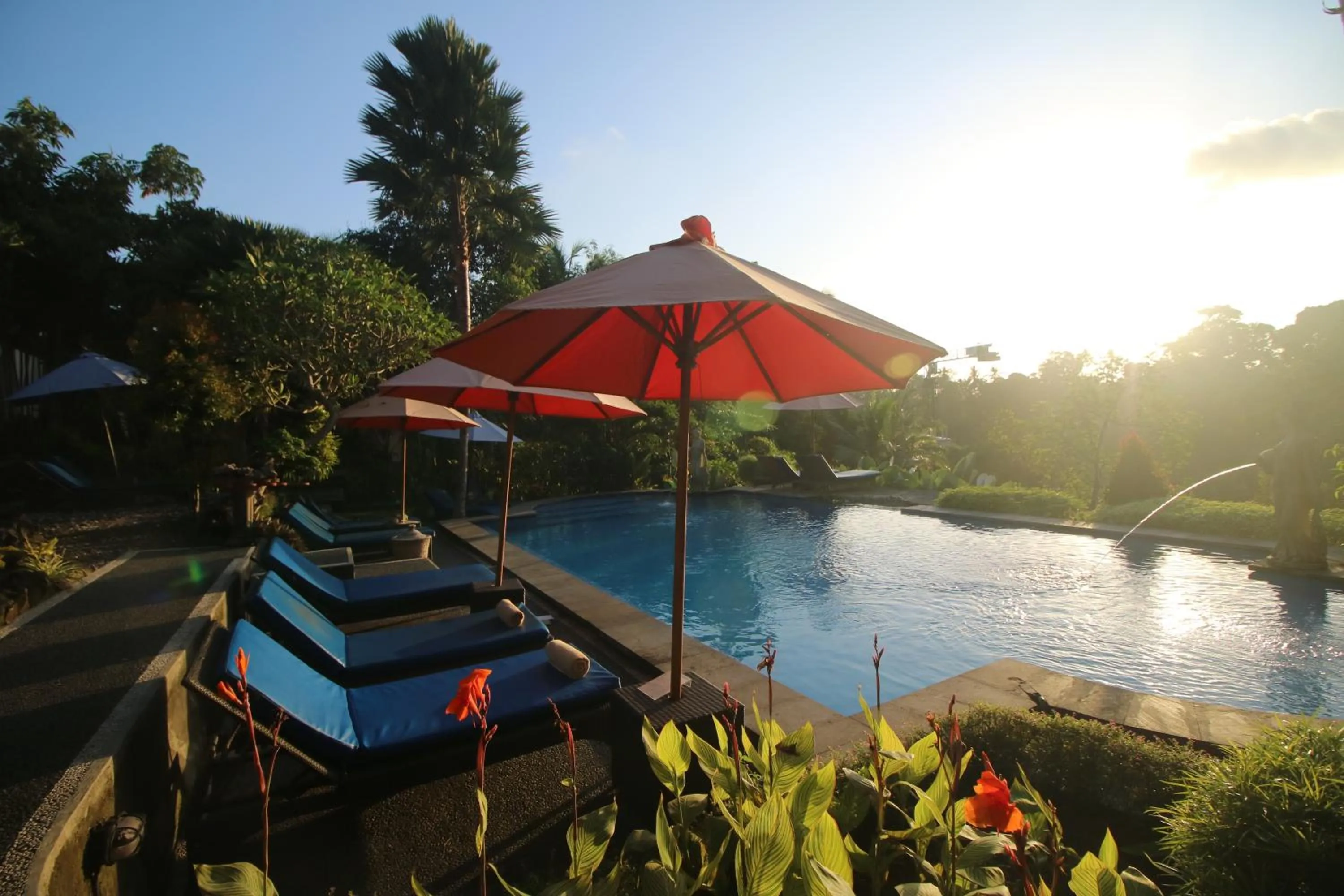 Swimming pool in Villa Capung Mas Ubud