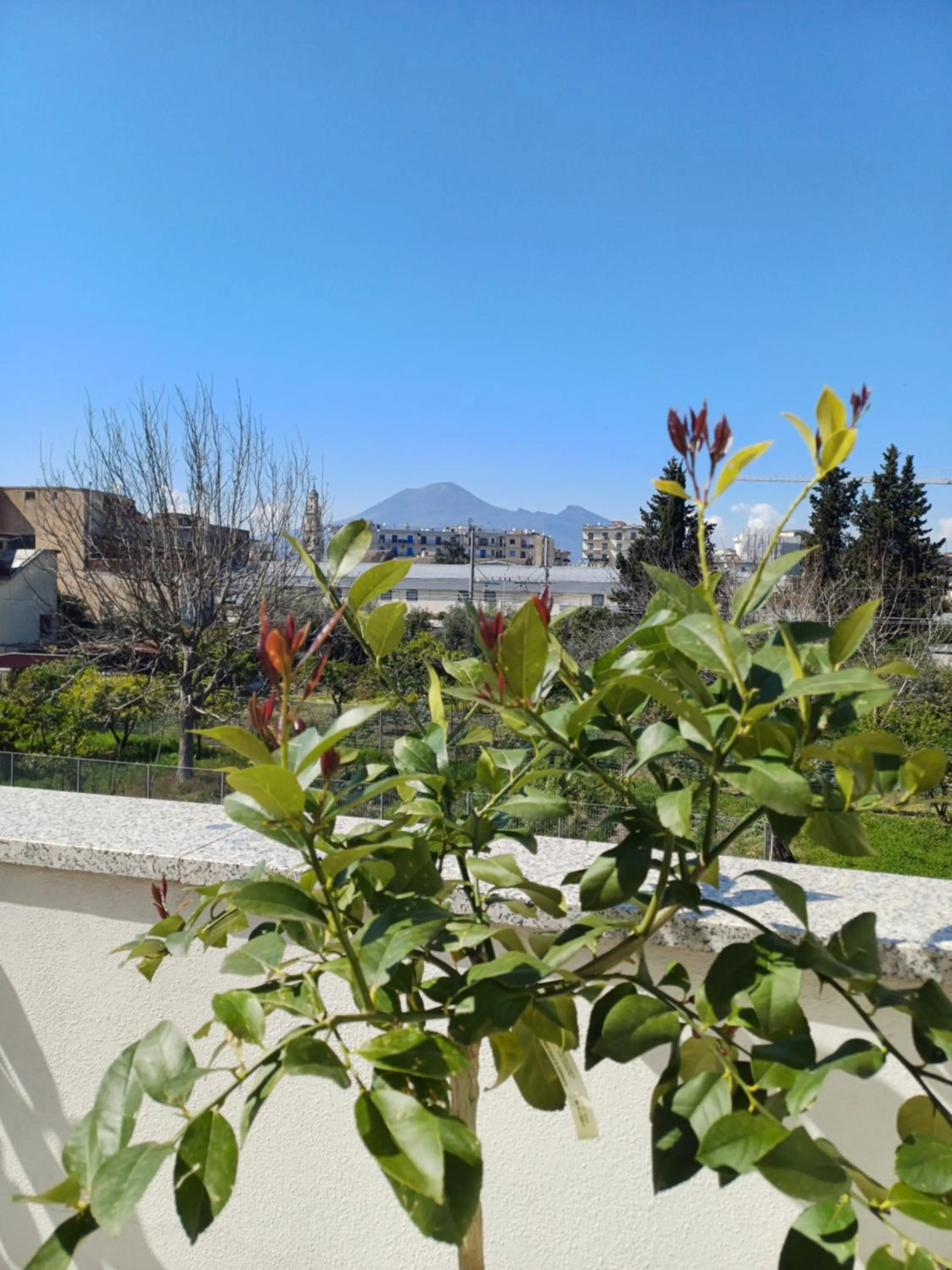 Balcony/Terrace in Zefiro B&B