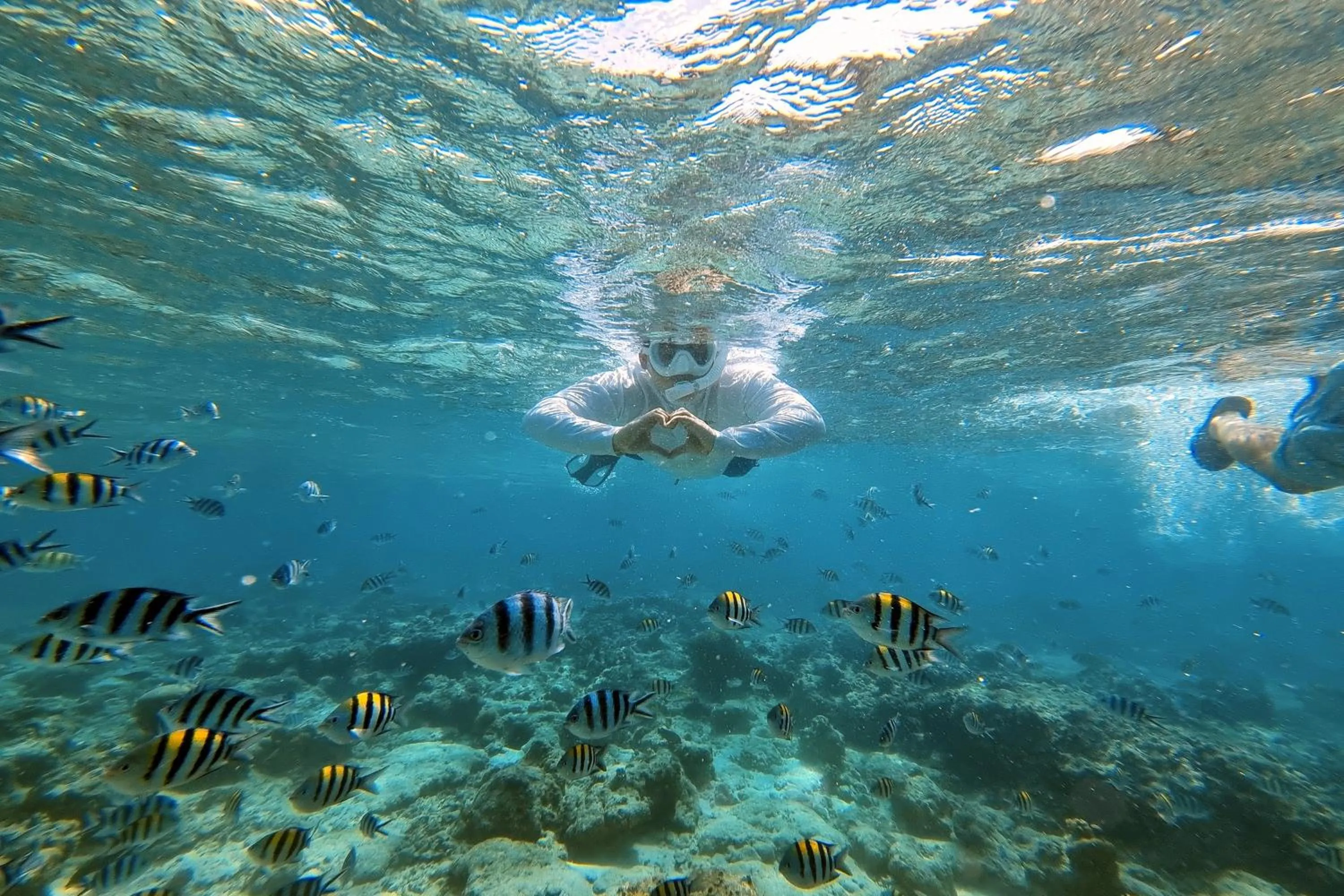 Natural landscape in The Mark Resort Cebu